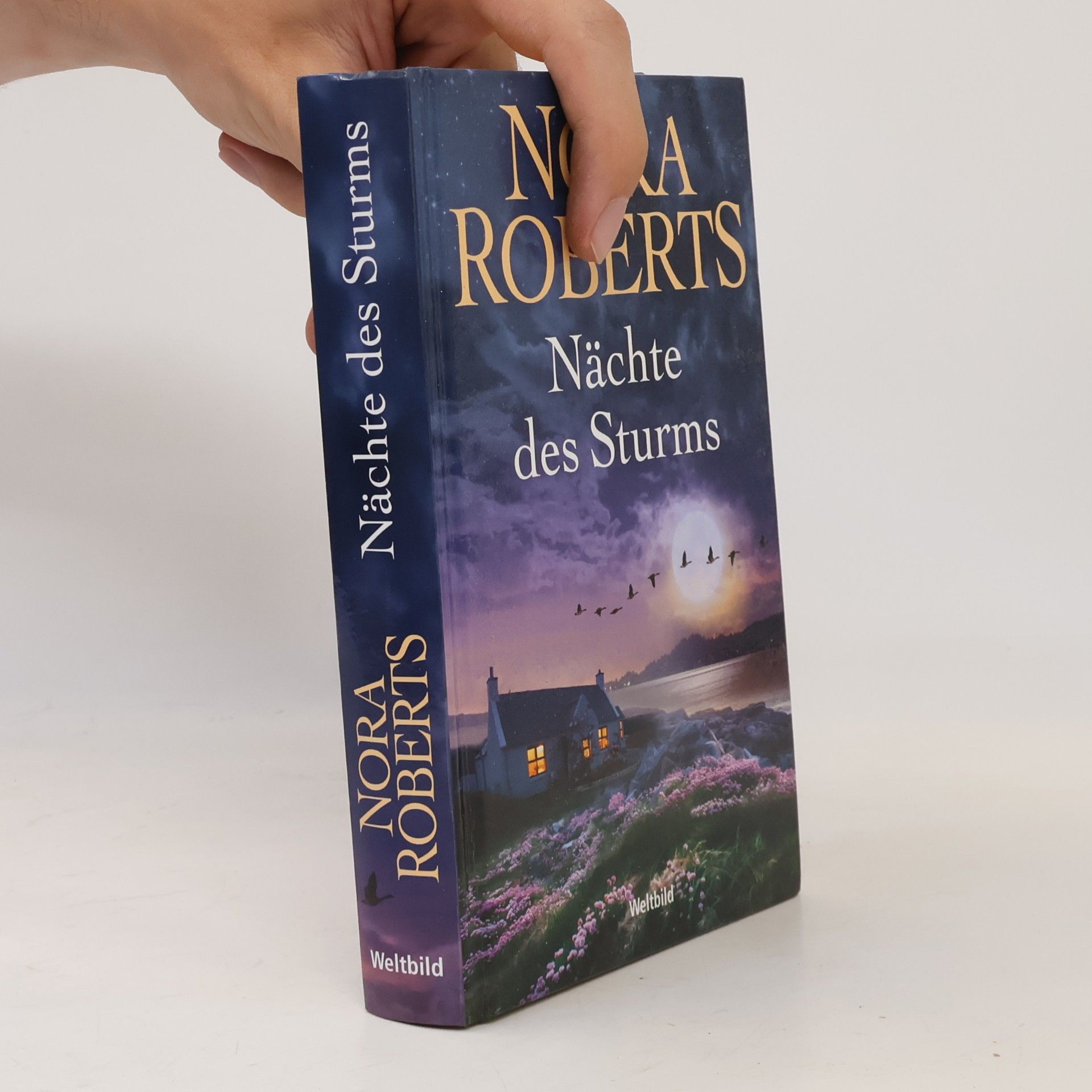 Nora Roberts Insel des Sturms