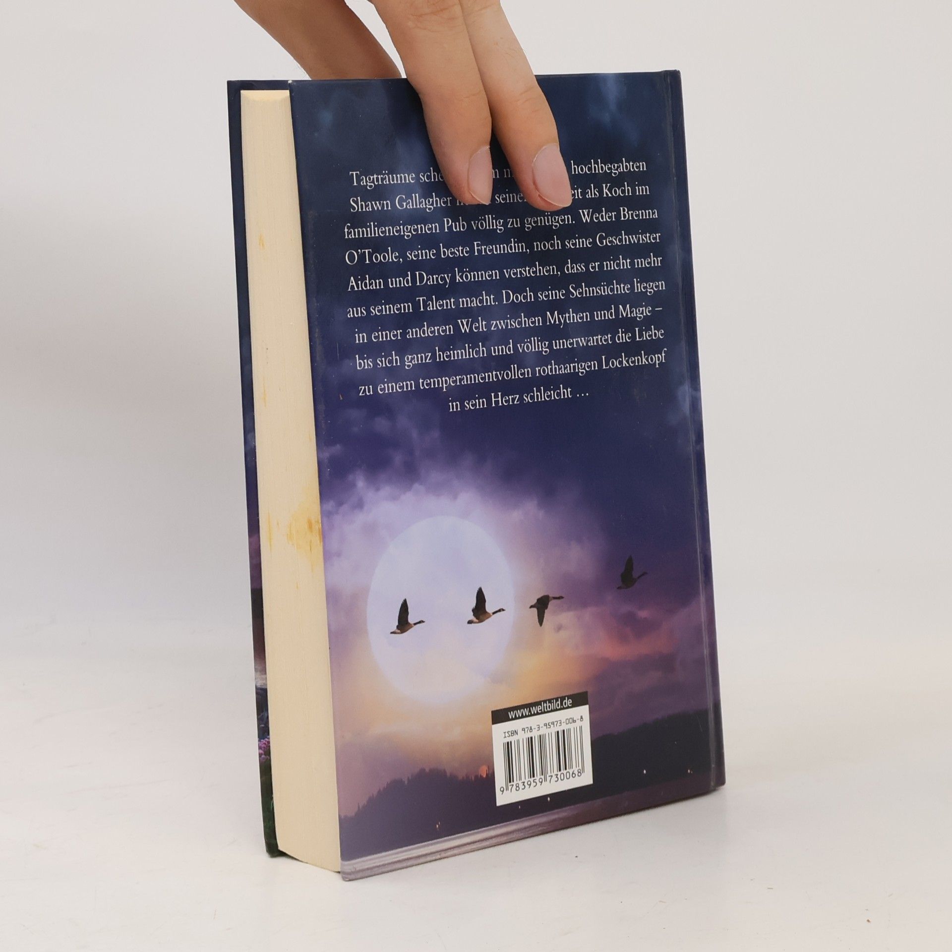 Nora Roberts Insel des Sturms