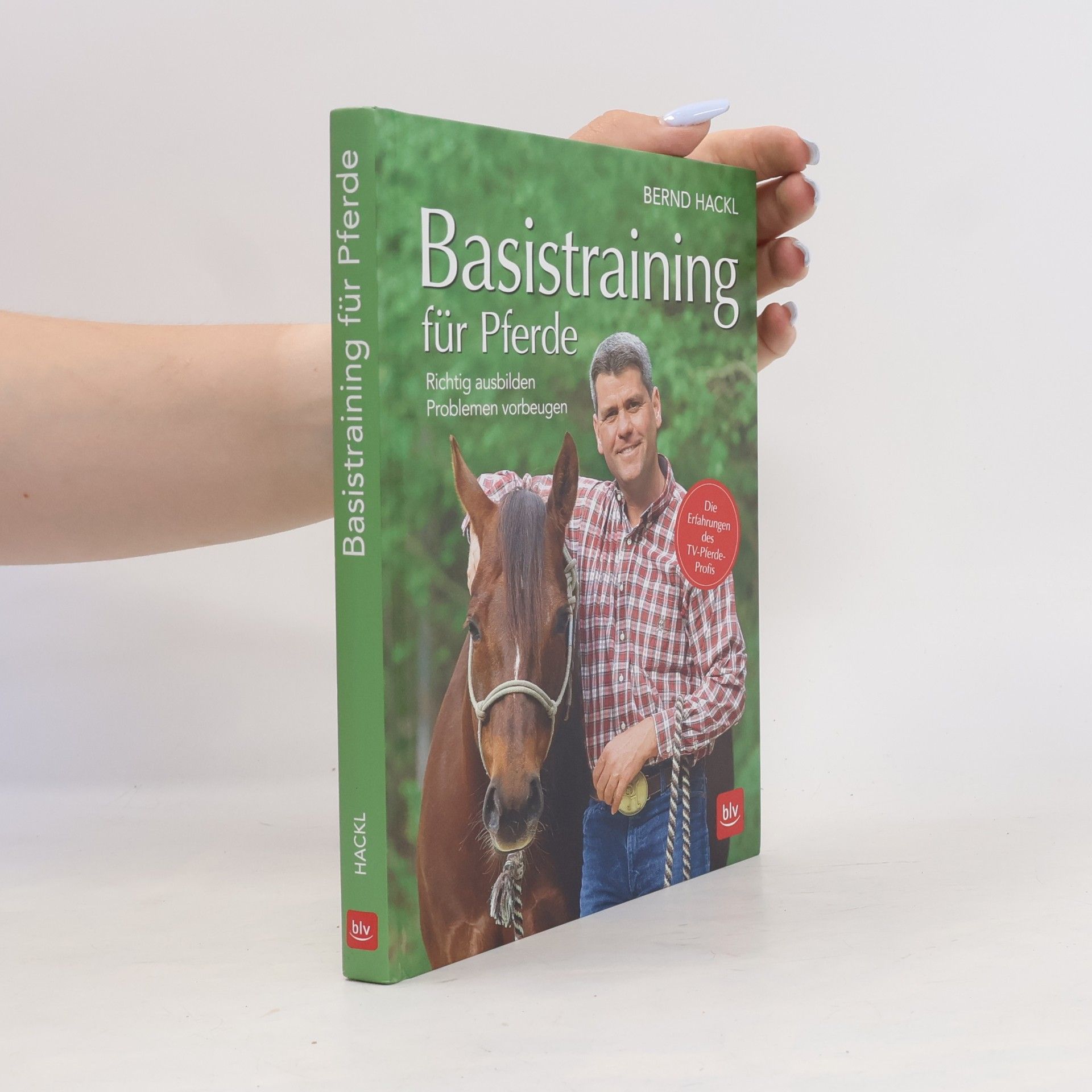 Basistraining für Pferde
