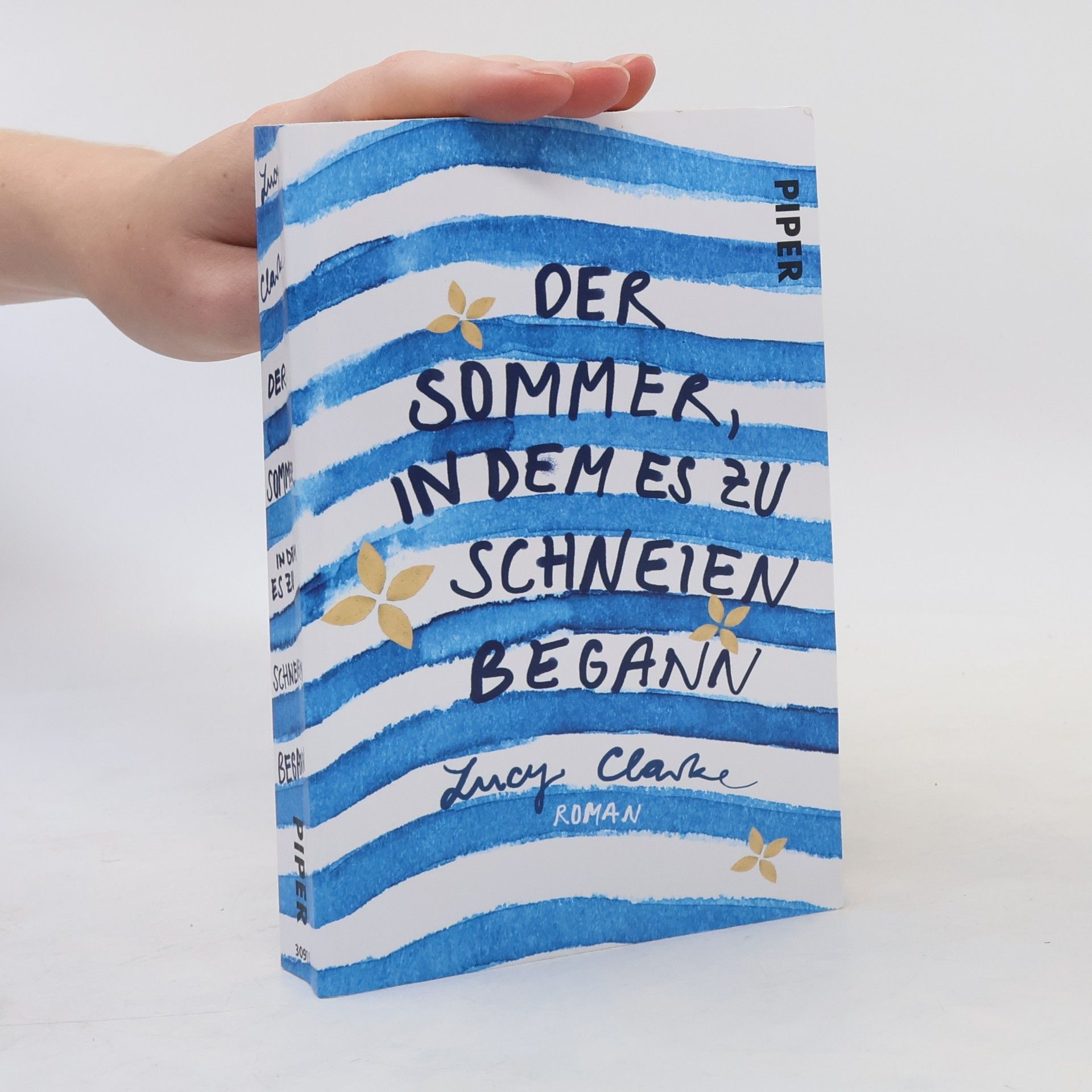 Lucy Clarke Der Sommer, in dem es zu schneien begann