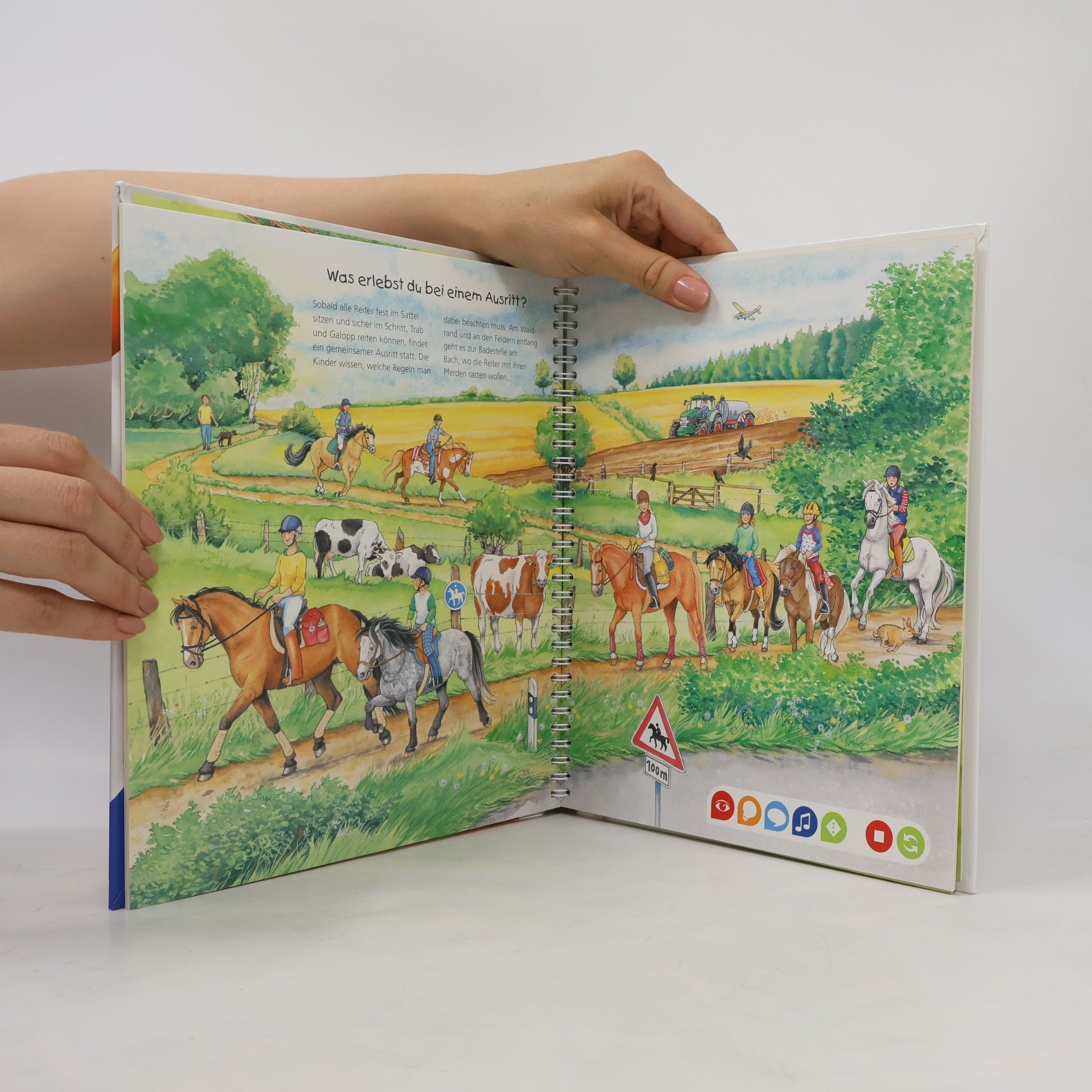 Melanie Brockamp Die Welt der Pferde und Ponys