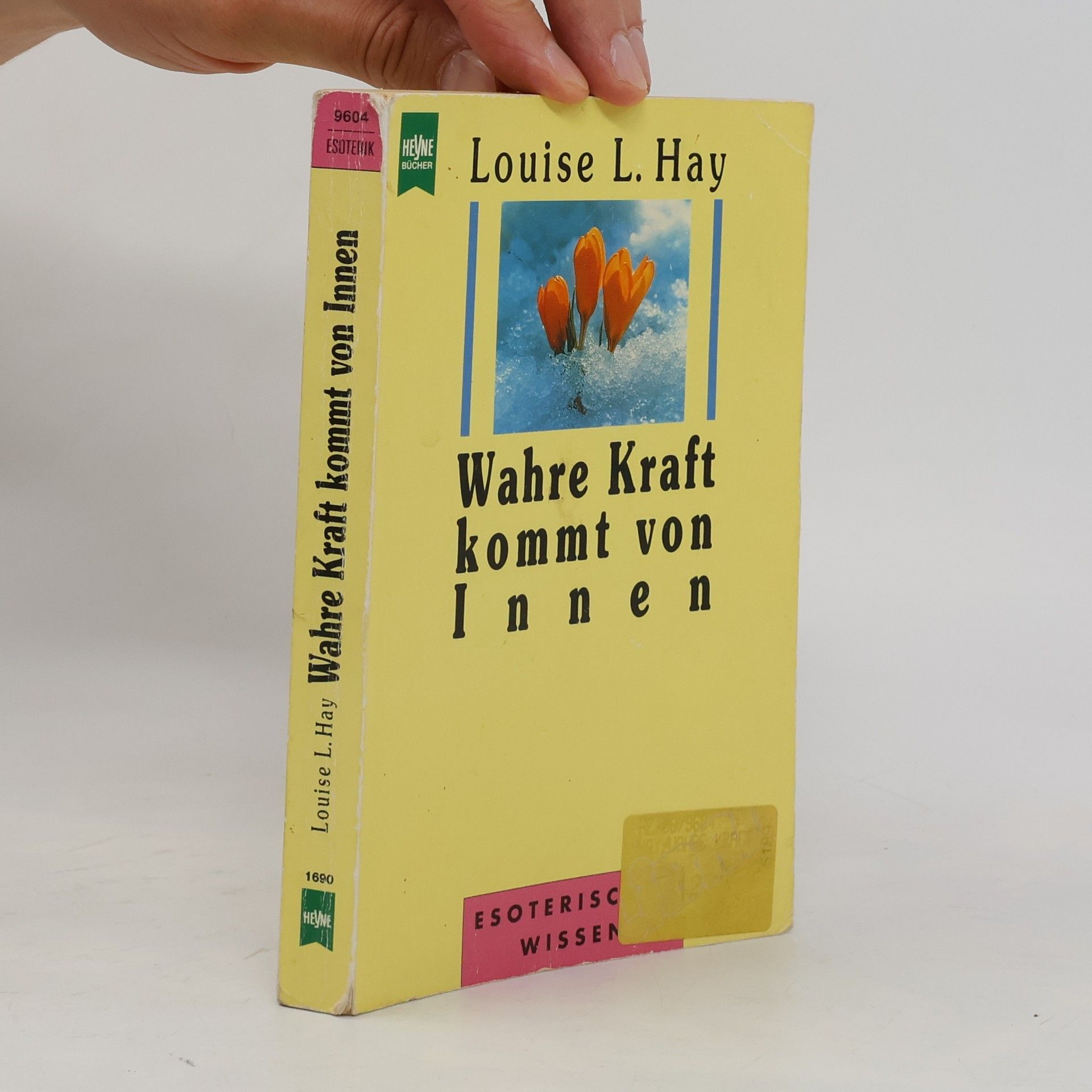 Lousie L. Hay Wahre Kraft kommt von Innen