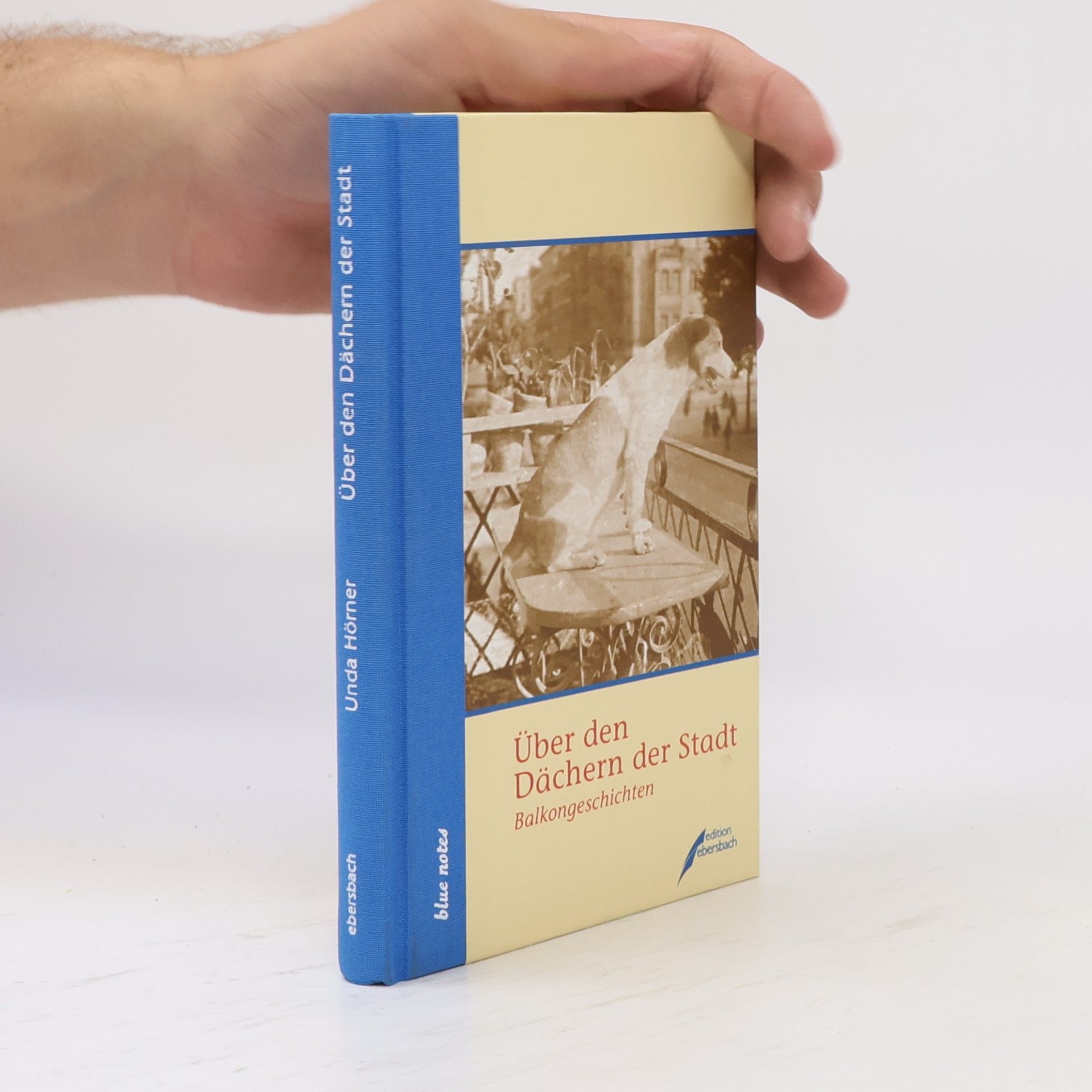 Unda Hörner blue notes - 31: Über den Dächern der Stadt