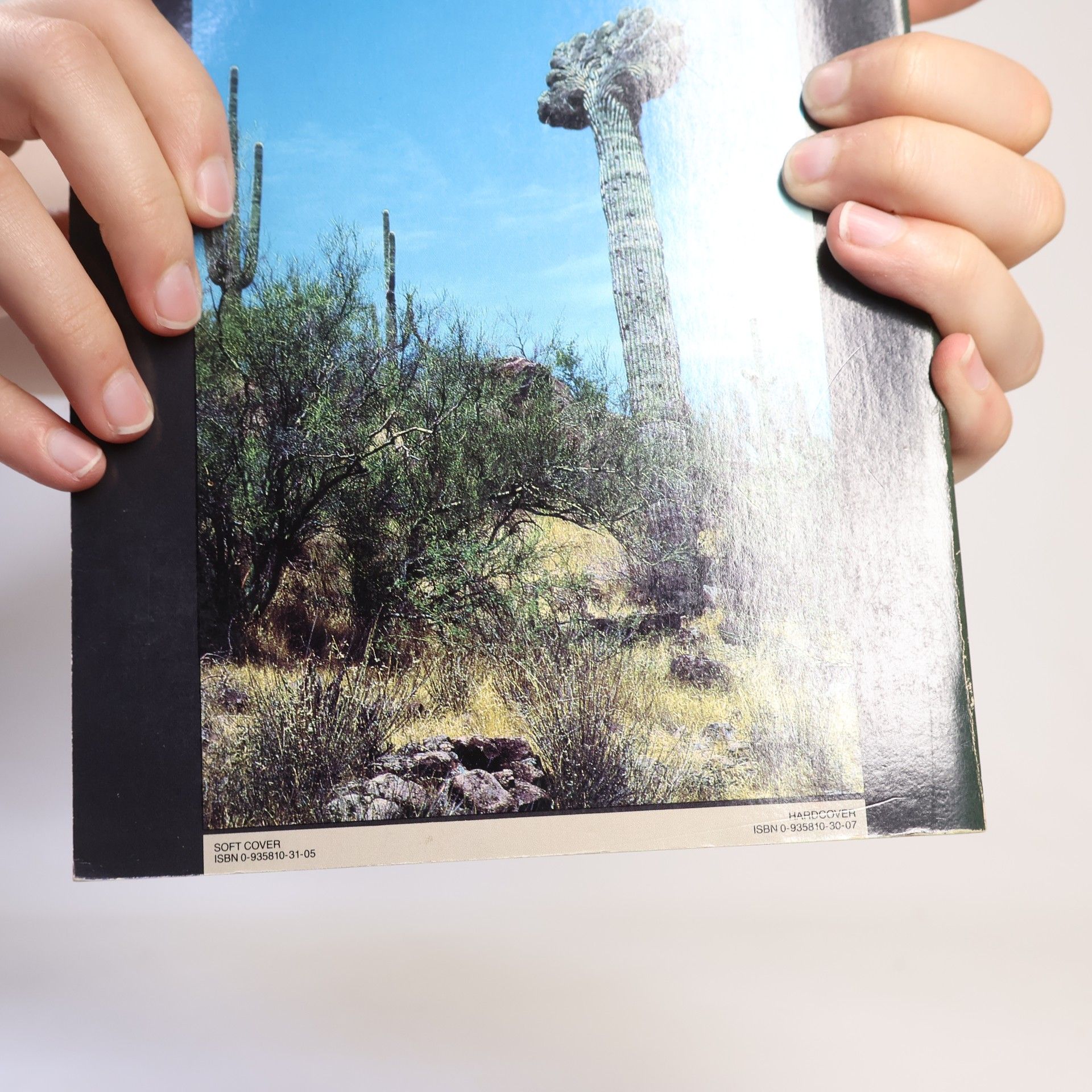 W. Hubert Earle Cacti of the Southwest