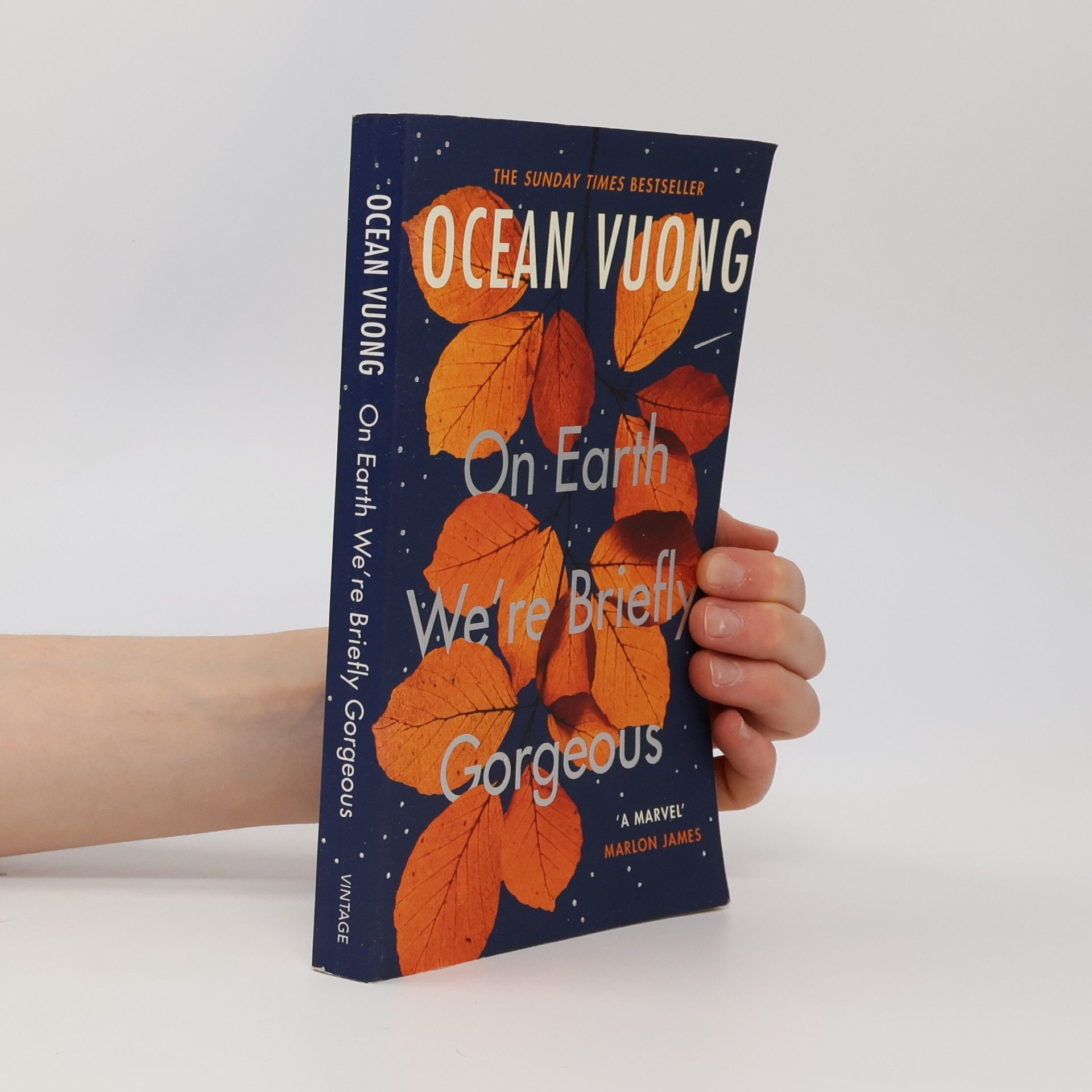 Ocean Vuong On Earth We're Briefly Gorgeous