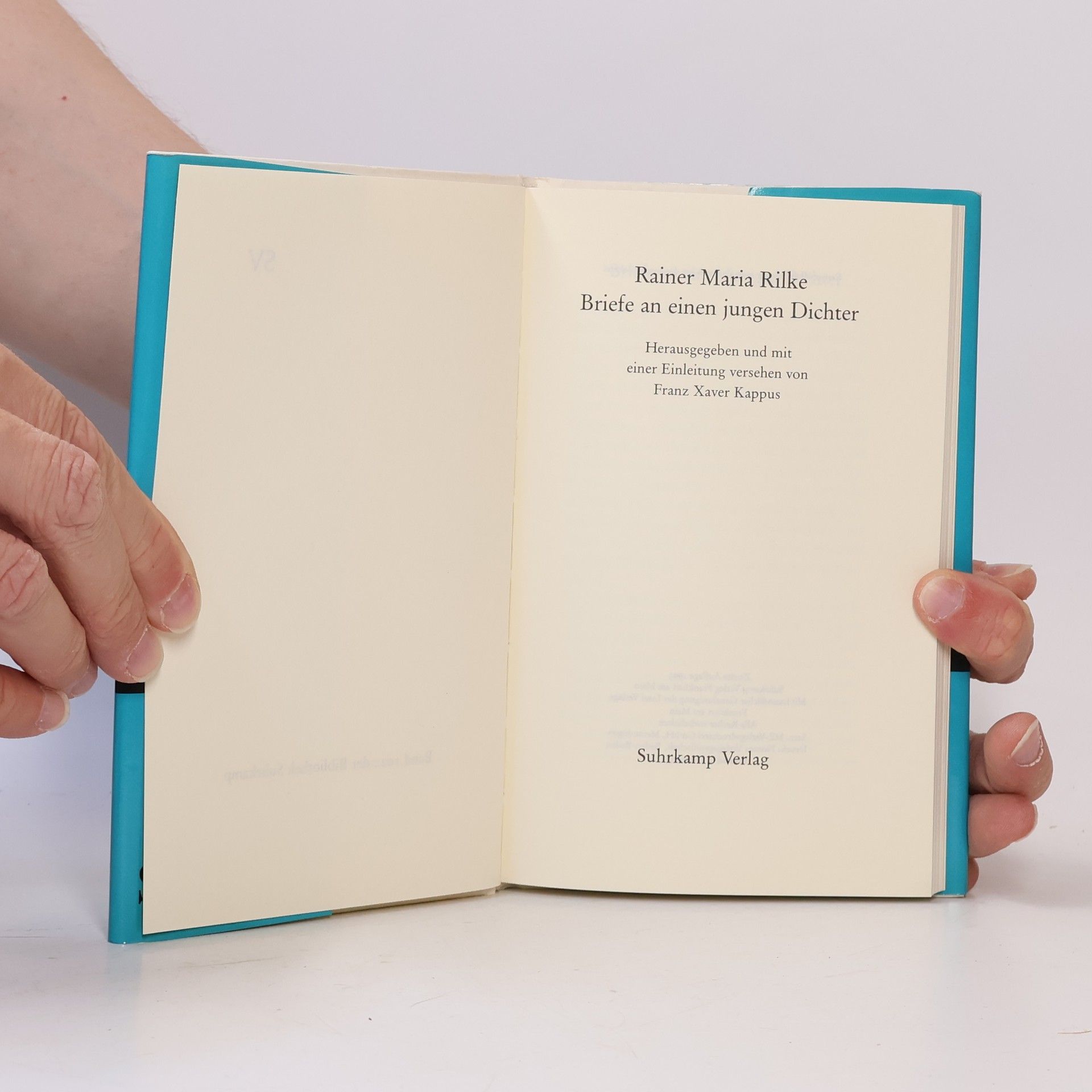Rainer Maria Rilke Briefe an einen jungen Dichter