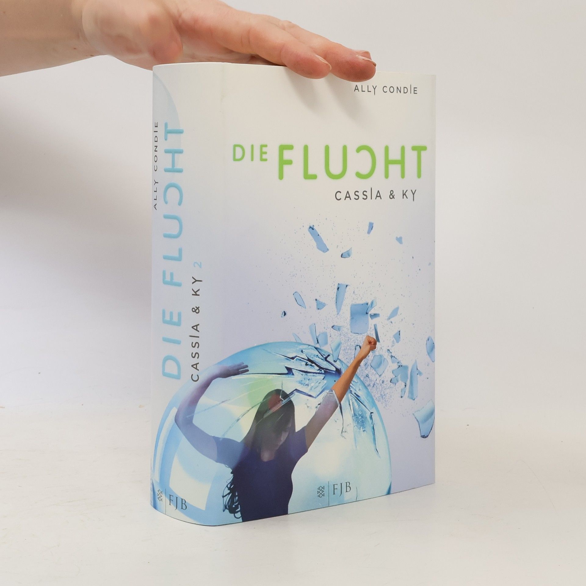 Ally Condie Die Flucht