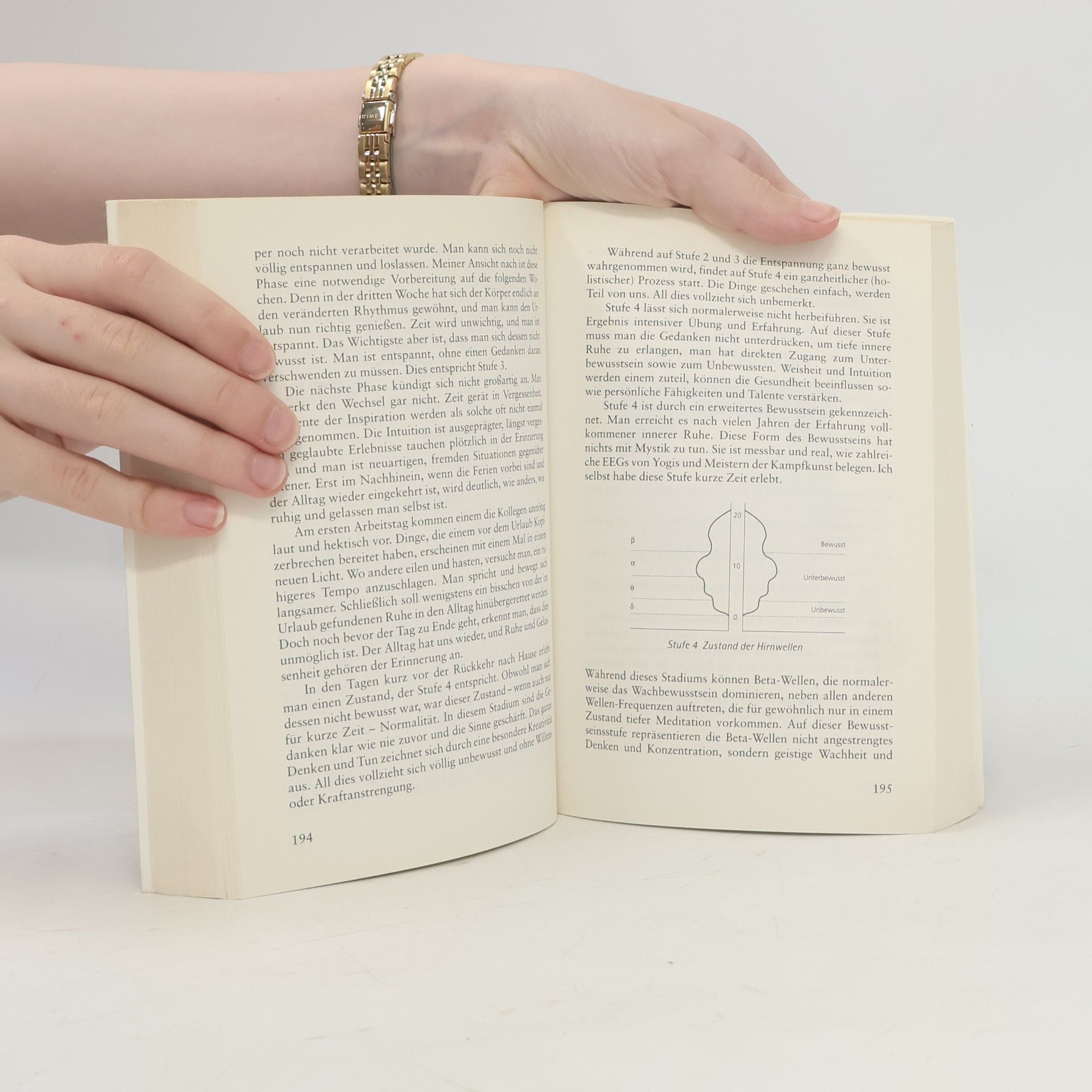 Paul Wilson Das große Buch der Ruhe