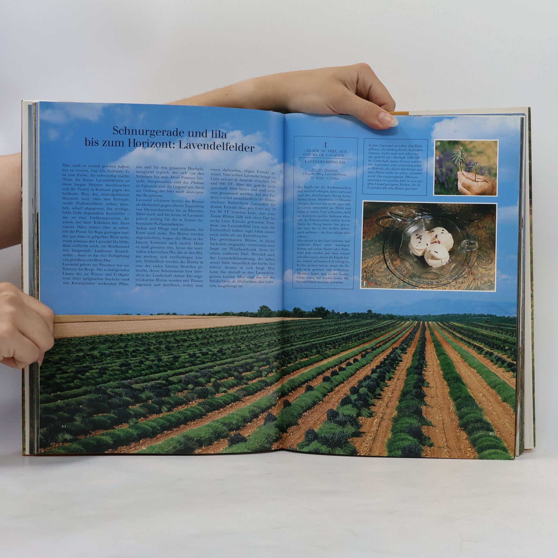 Provence