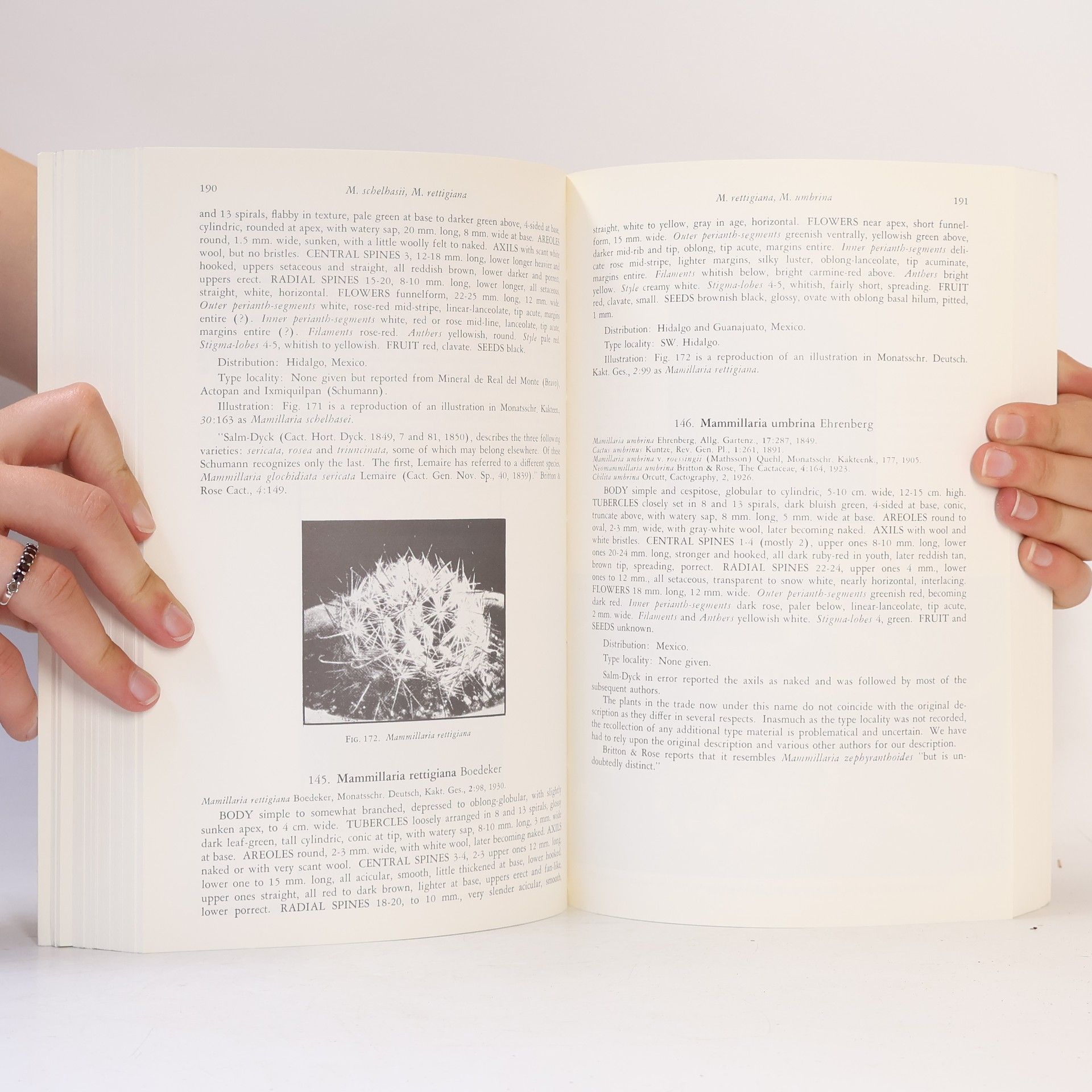 R.T. Craig The Mammillaria Handbook