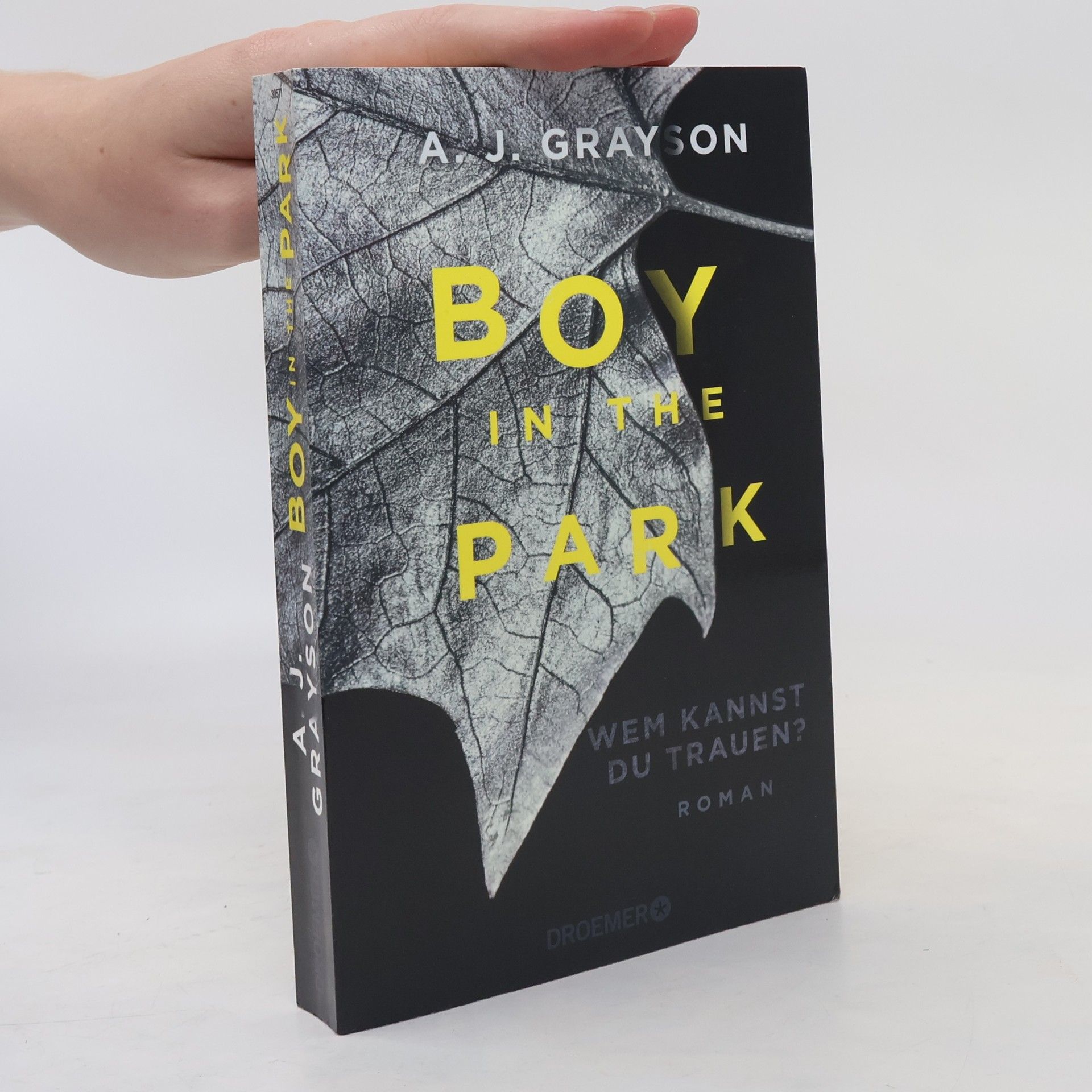 A. J. Grayson Boy in the park
