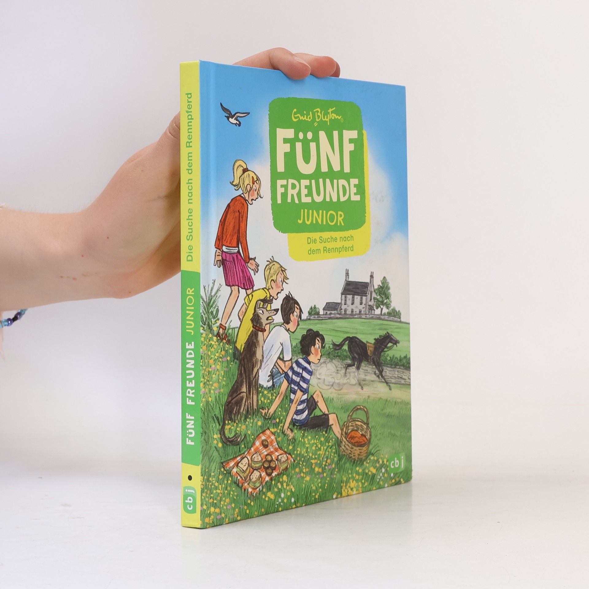 Enid Blyton Fünf Freunde Junior