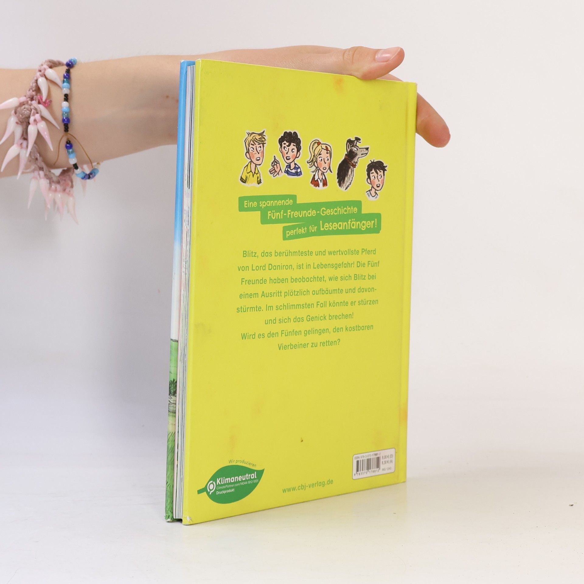 Enid Blyton Fünf Freunde Junior