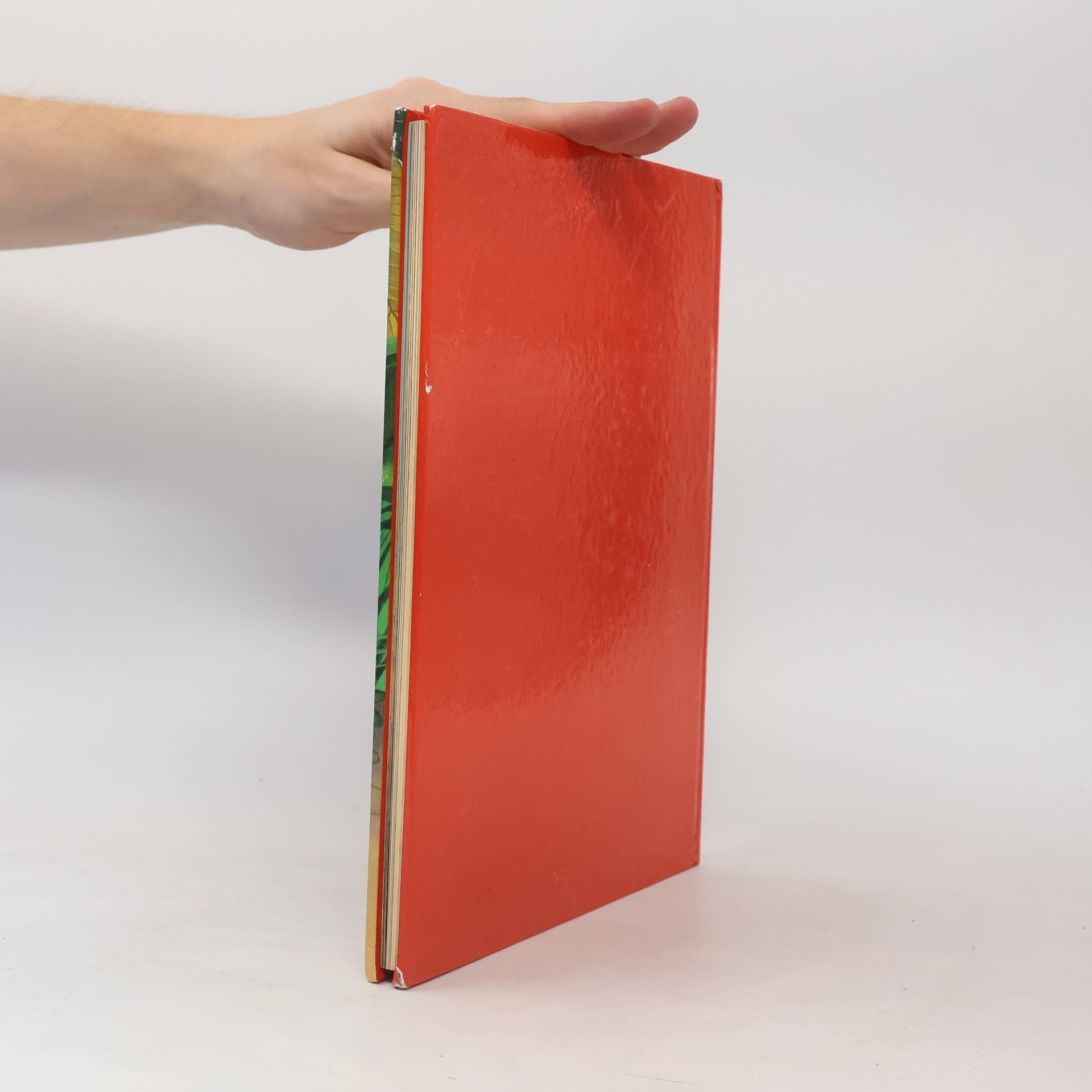 Autores varios Der kleine Däumerling und andere Märchen und Geschichten