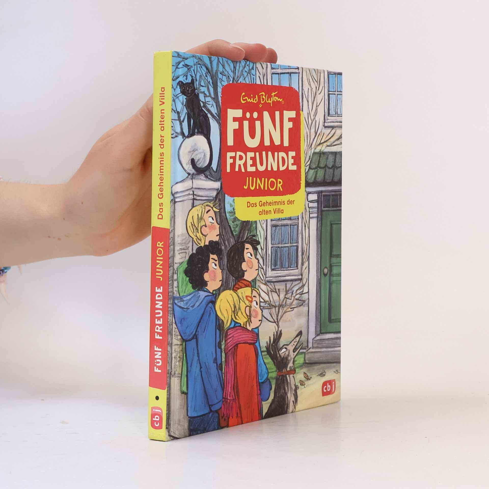 Enid Blyton Fünf Freunde JUNIOR. Das Geheimnis der alten Villa