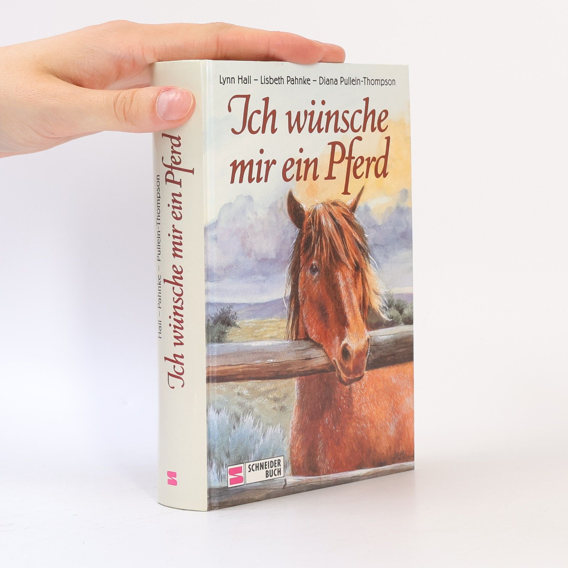 Diana Pullein-Thompson Ich wünsche mir ein Pferd
