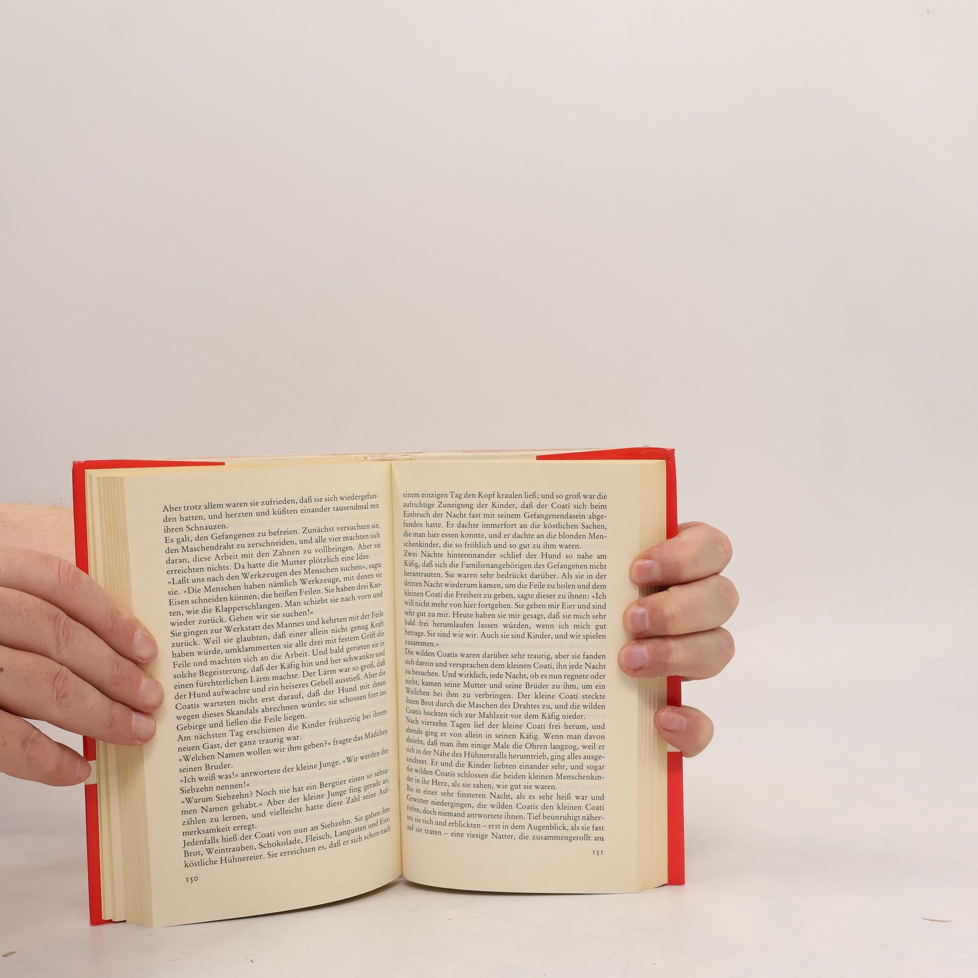 Horacio Quiroga Bibliothek Suhrkamp: Geschichten von Liebe, Irrsinn und Tod