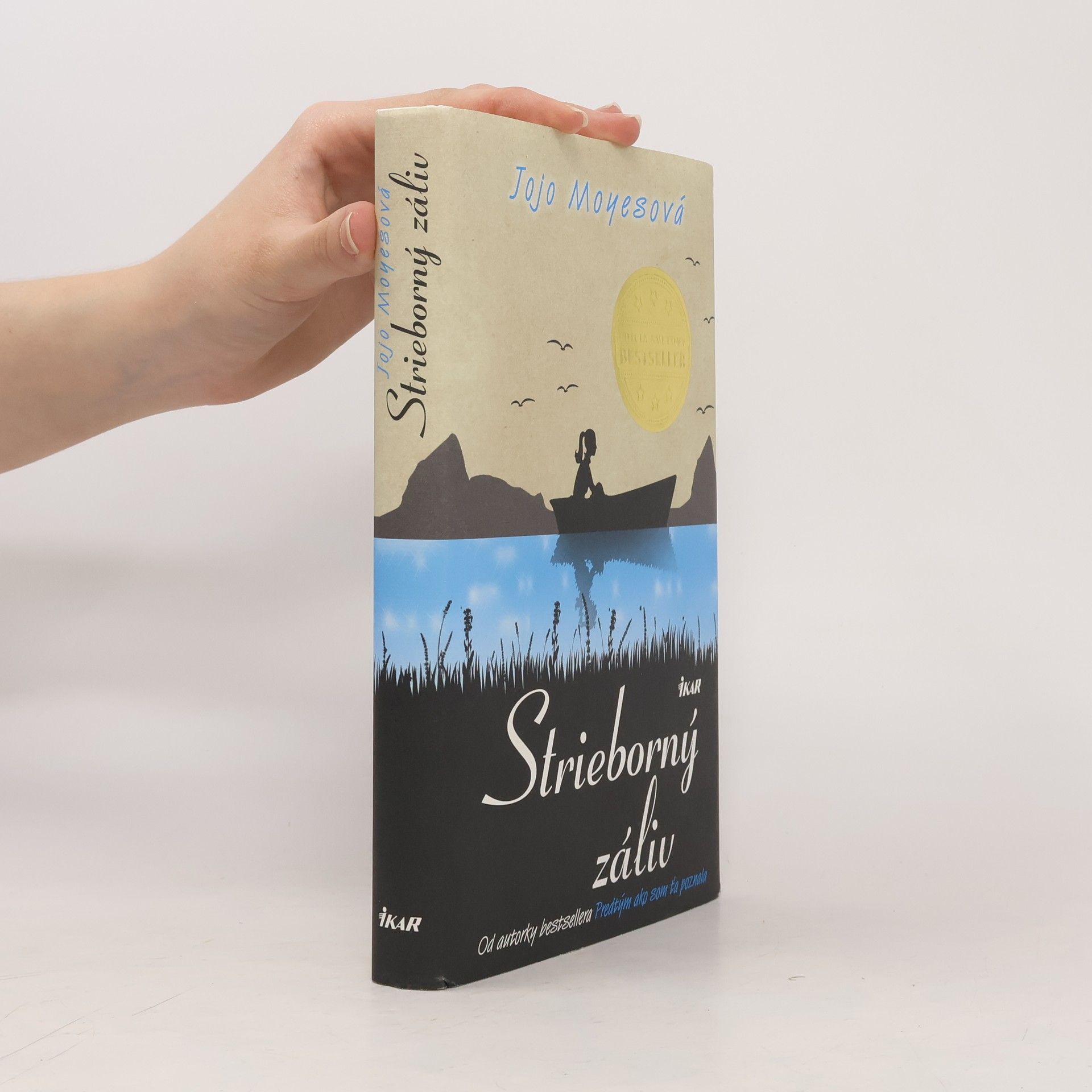 Jojo Moyes Strieborný záliv