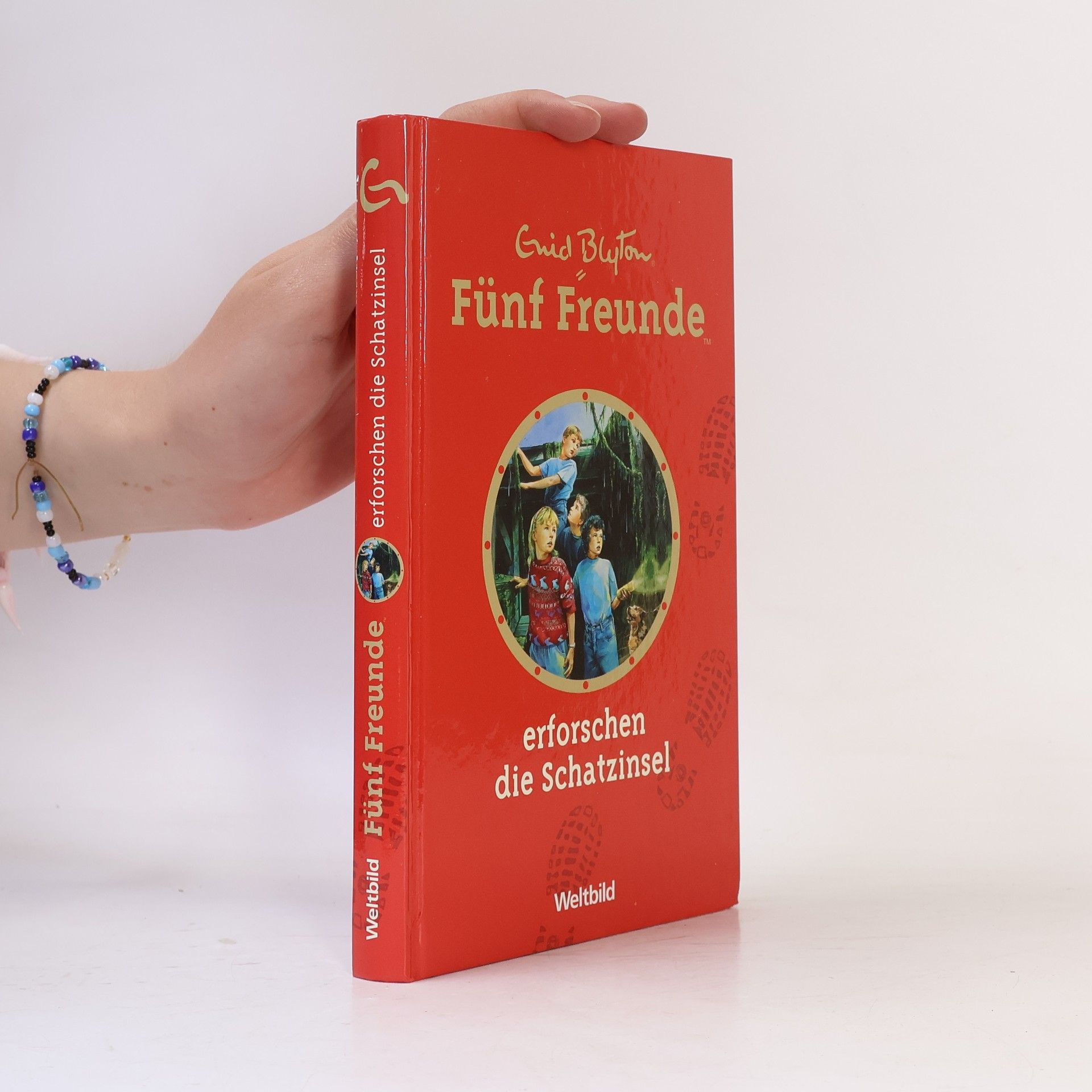 Enid Blyton Fünf Freunde erforschen die Schatzinsel