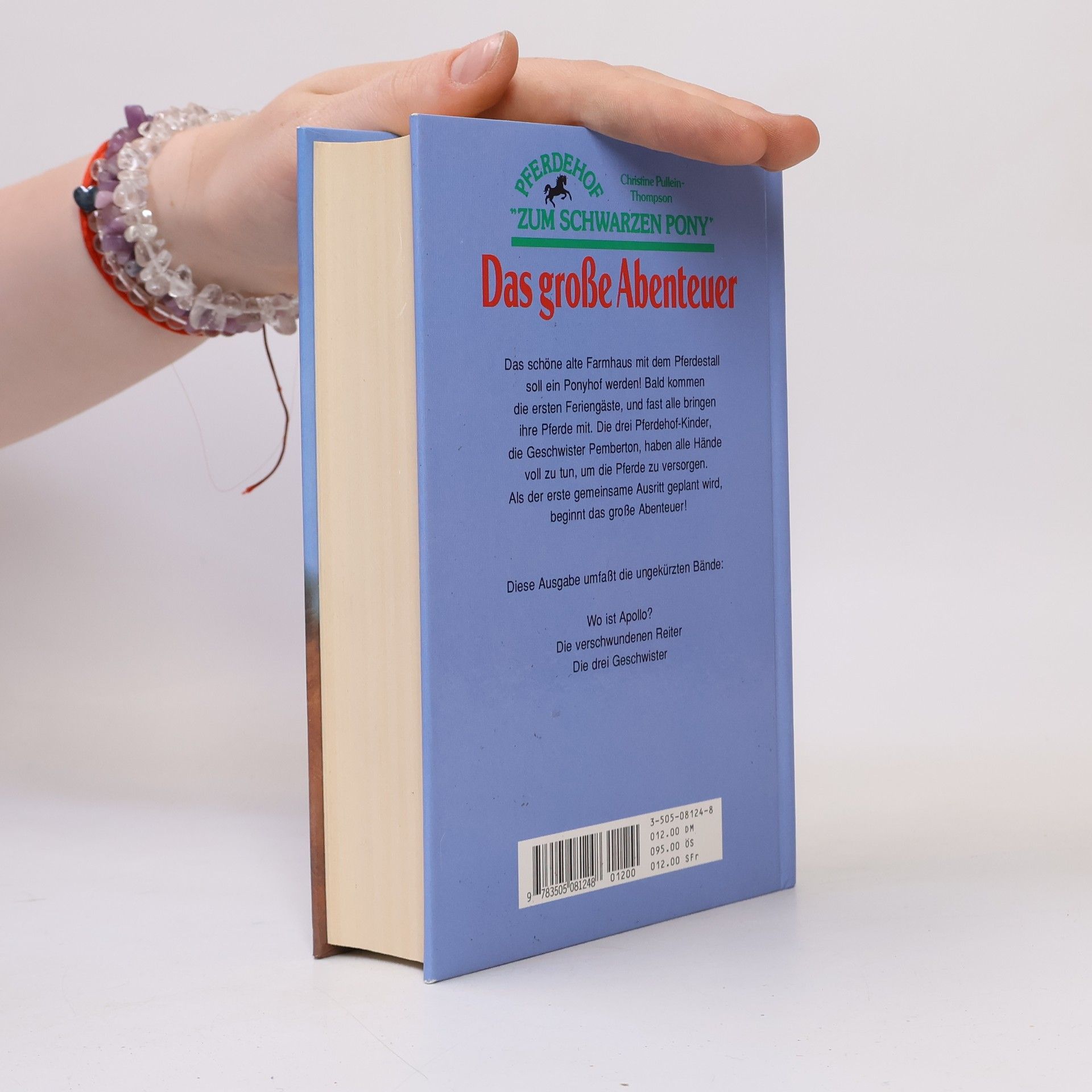 Autores varios Das große Abenteuer