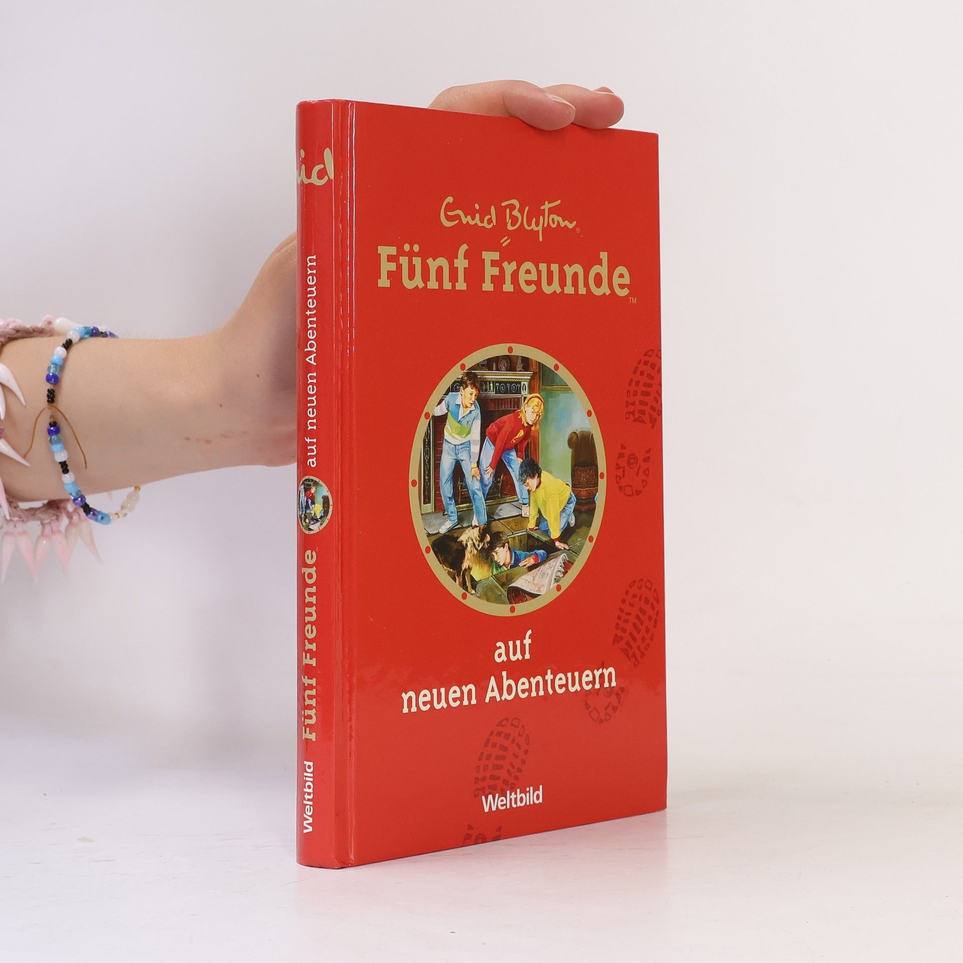 Enid Blyton Fünf Freunde auf neuen Abenteuern
