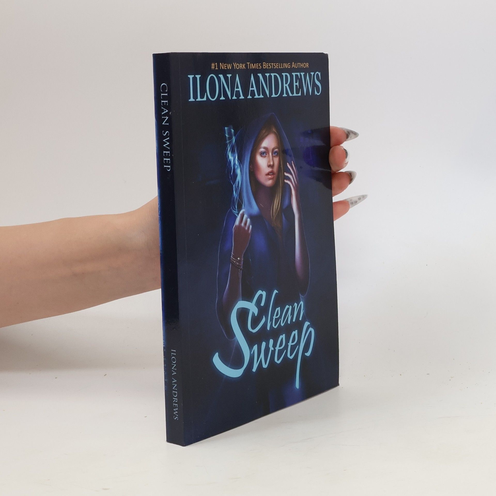 Ilona Andrews Clean Sweep (Innkeeper Chronicles, Band 1)