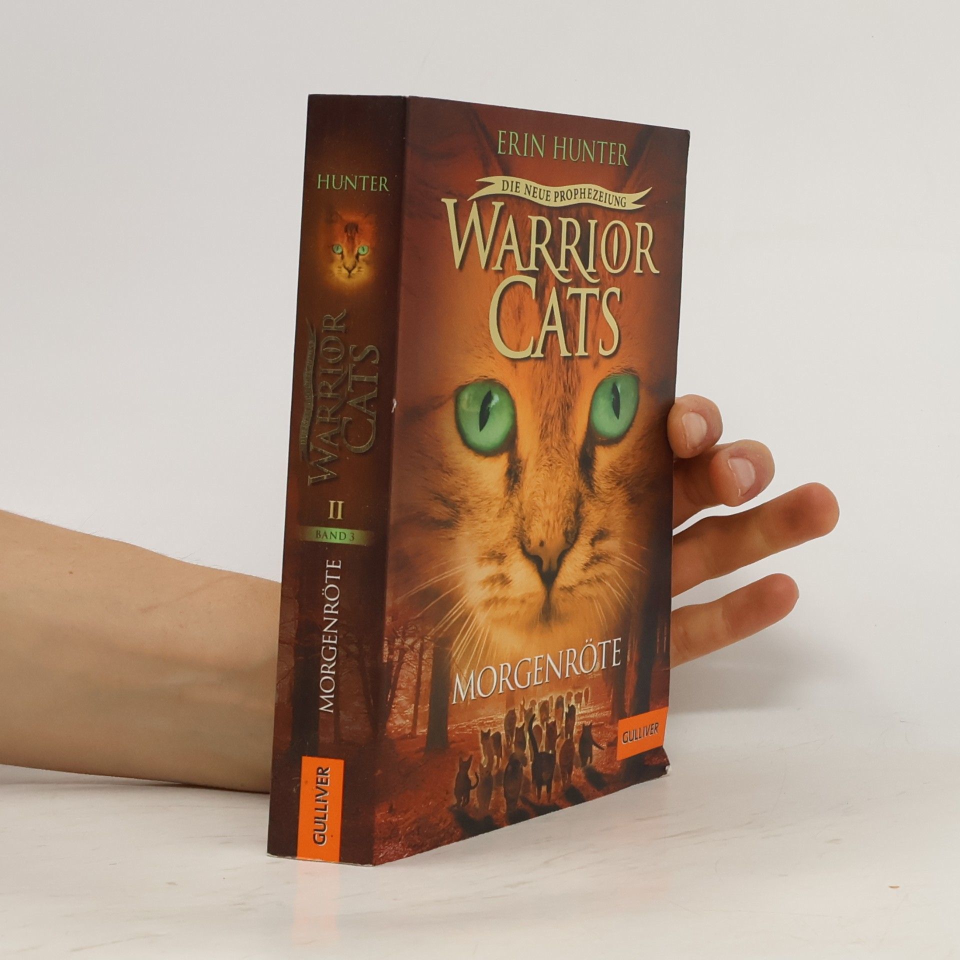 Erin Hunter Warrior Cats. Die neue Prophezeiung Band 3. Morgenröte