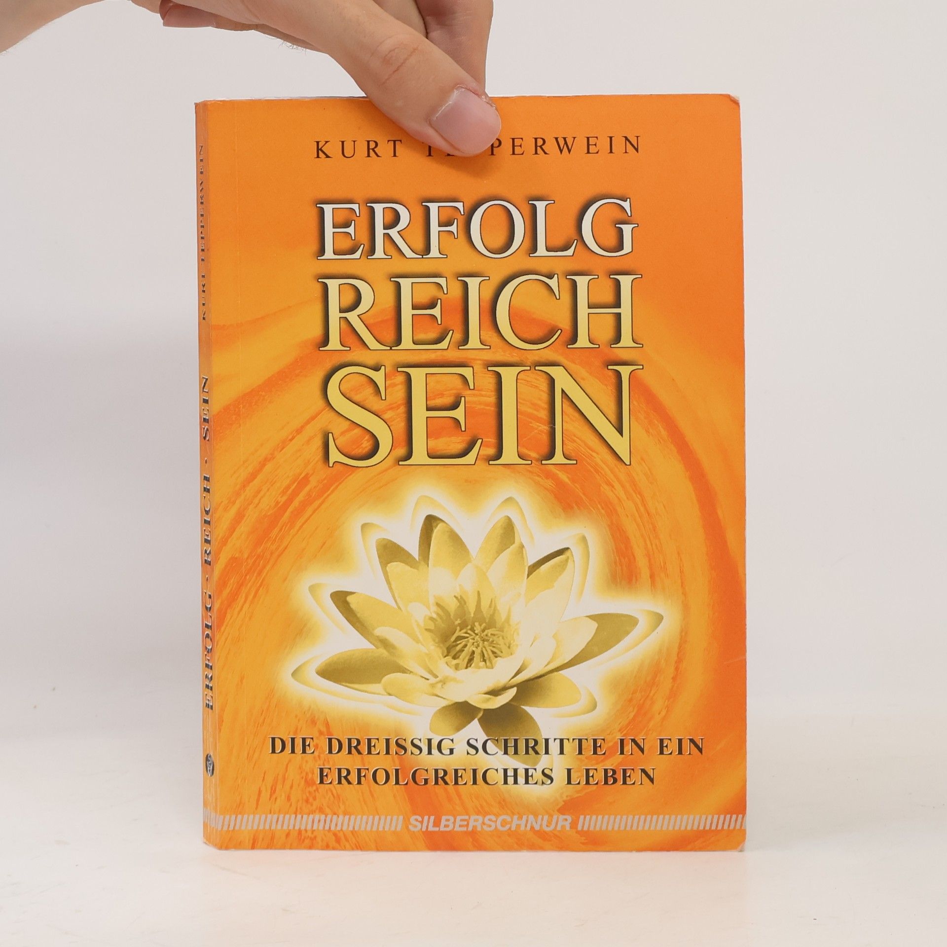 Kurt Tepperwein Erfolgreich sein