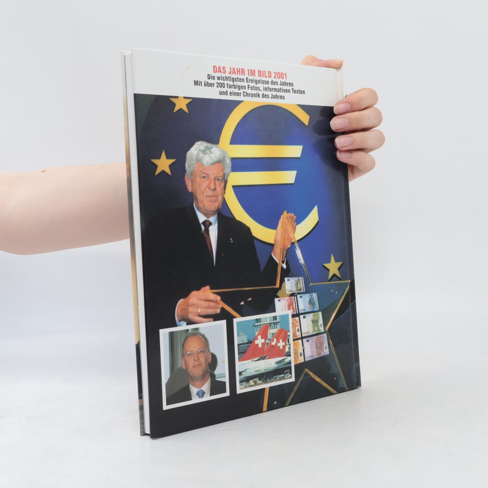 Kolektiv autorů Das Jahr im Bild 2001