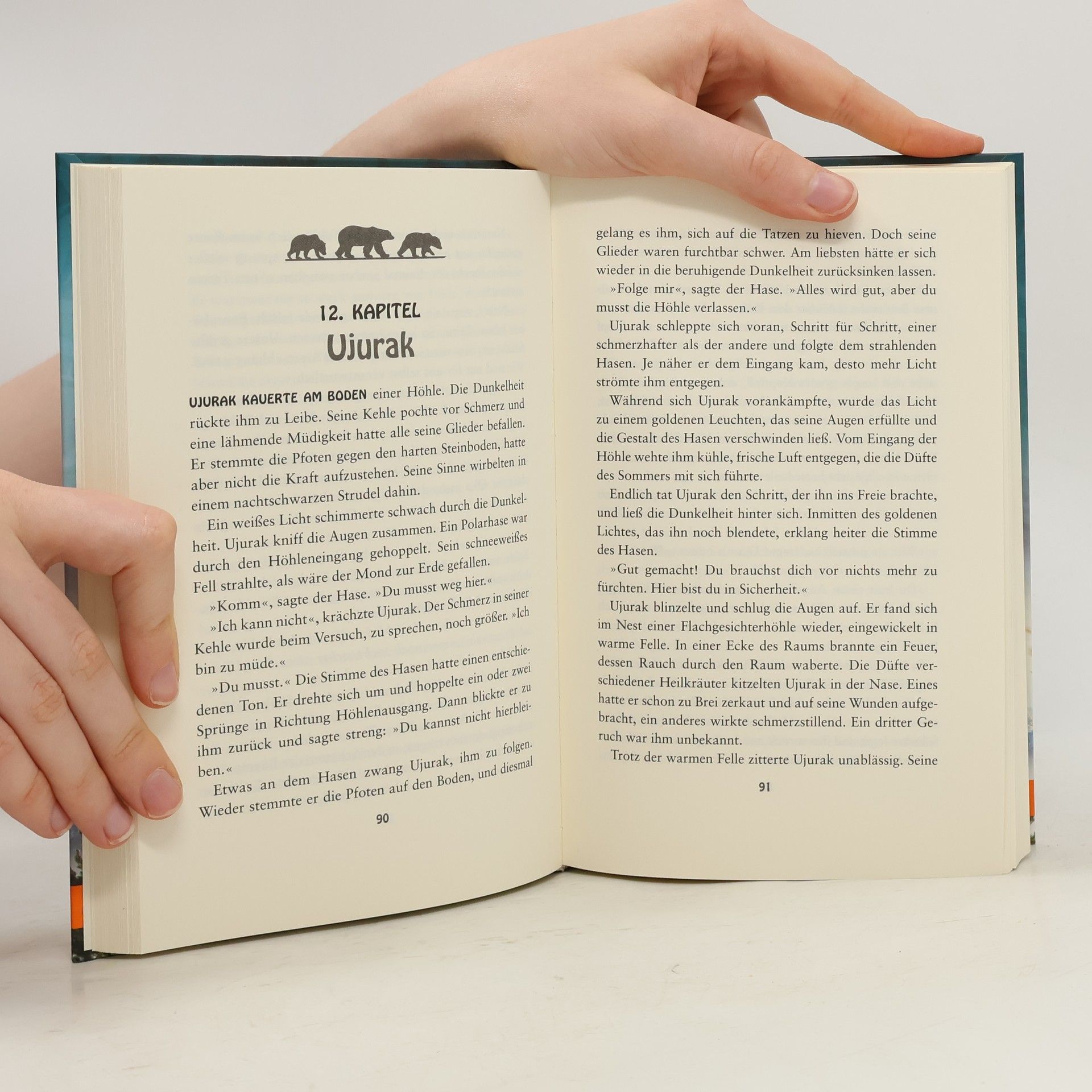 Erin Hunter Seekers - Die Letzte Grosse Wildnis
