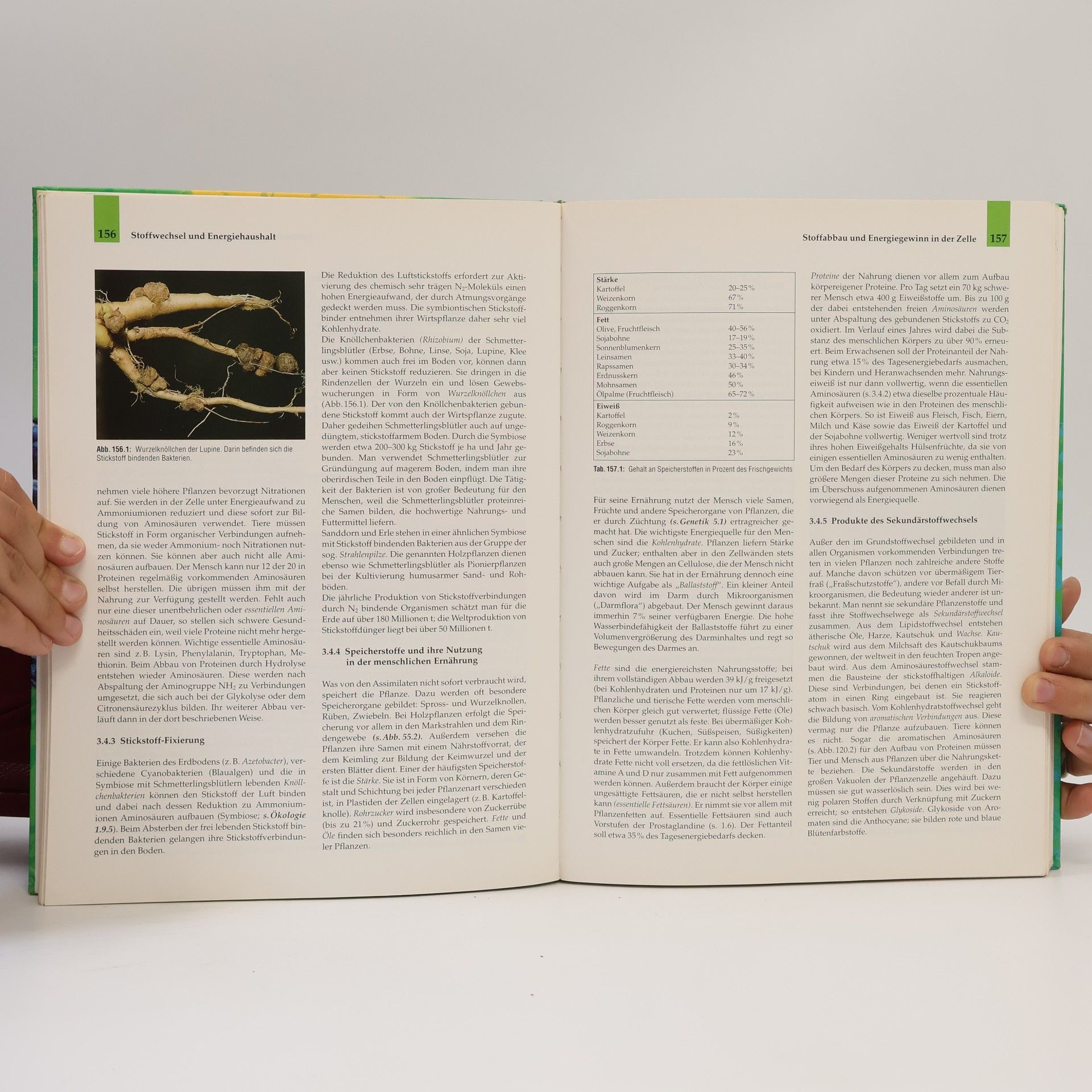 Biologie - Lehrbuch für die Oberstufe