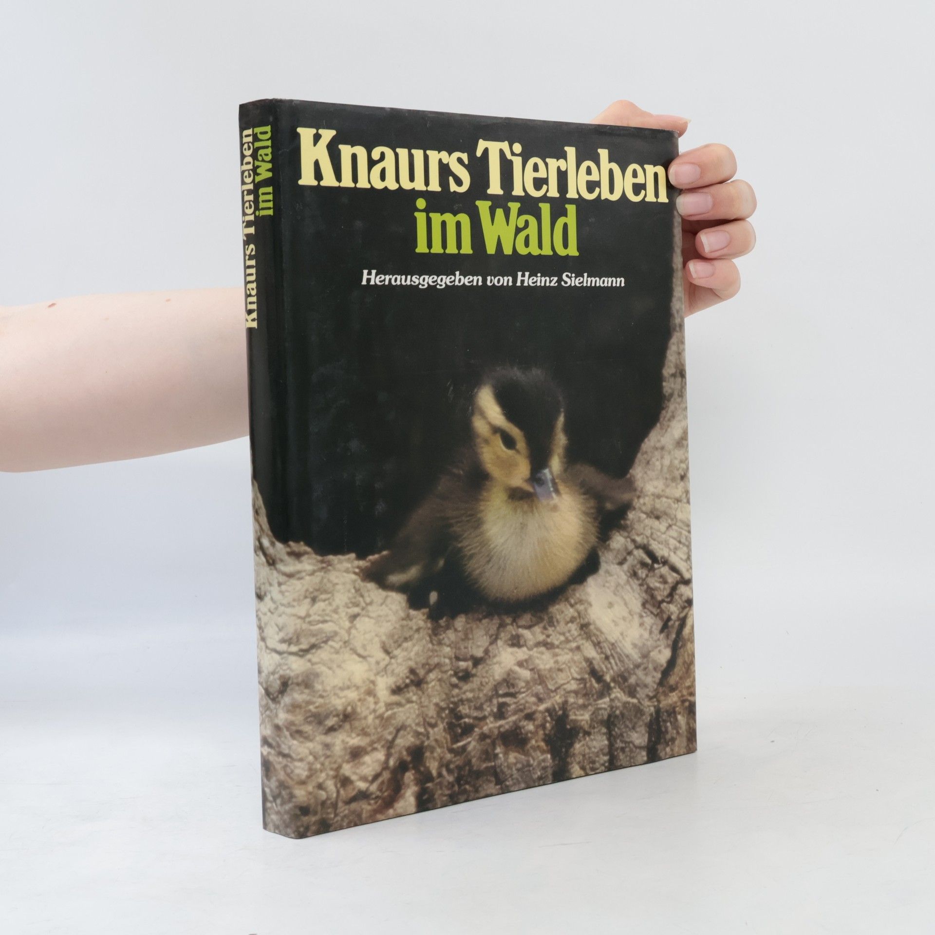 Knaurs Tierleben im Wald