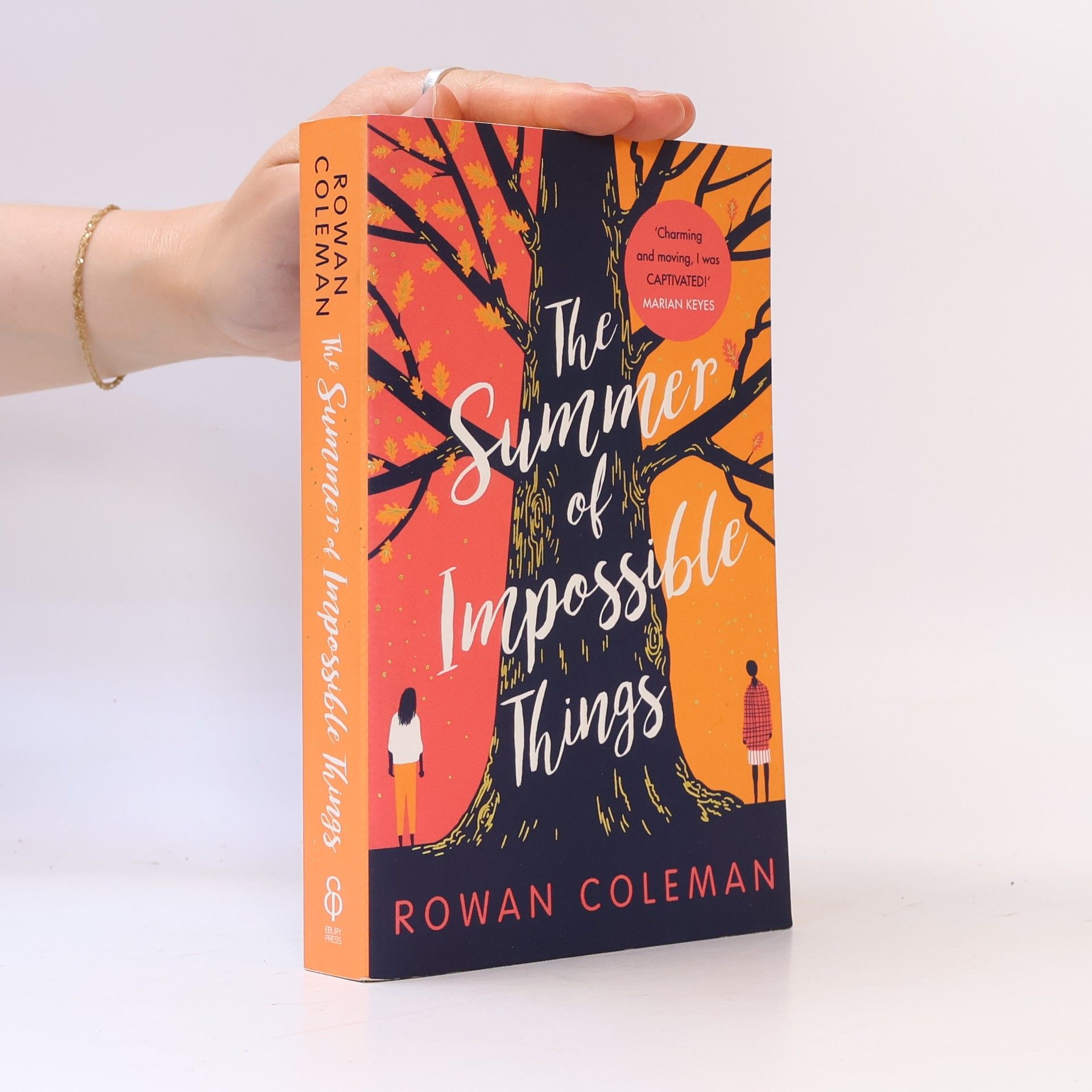 Rowan Coleman The Summer of Impossible Things