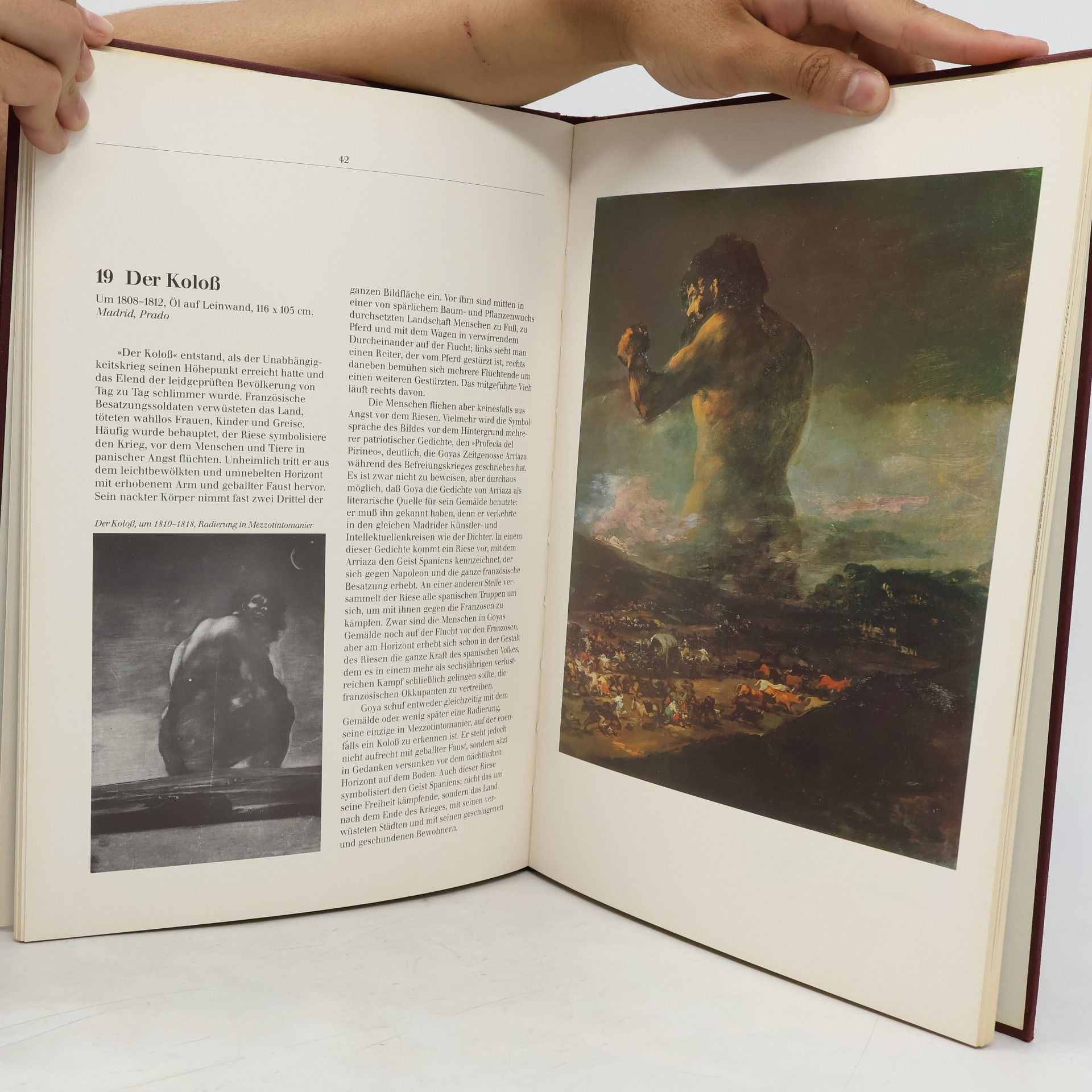 Kolektív autorov Francisco Goya