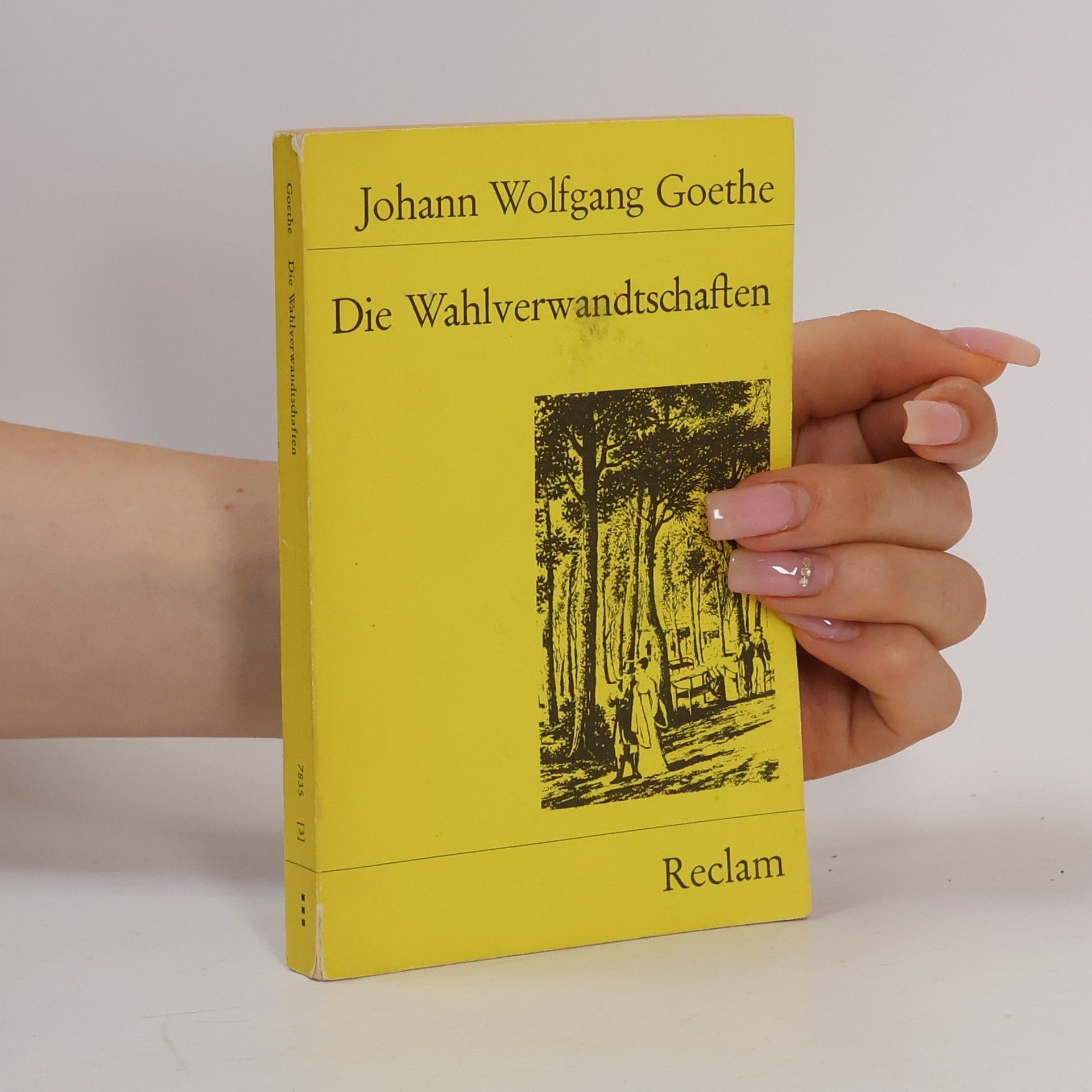 Johann Wolfgang von Goethe Die Wahlverwandtschaften
