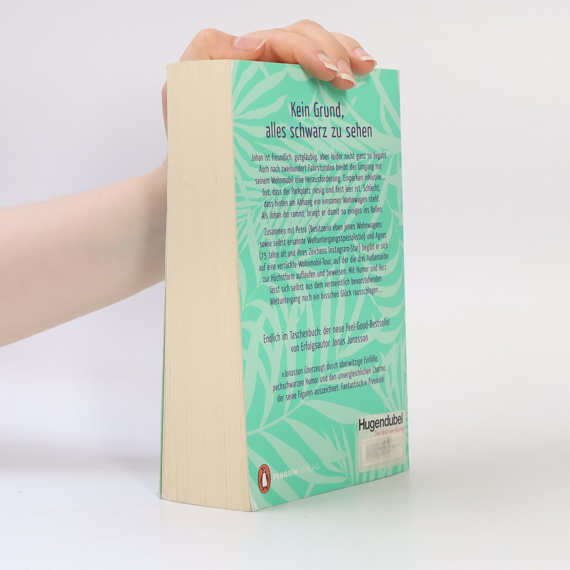 Jonas Jonasson Drei fast geniale Freunde auf dem Weg zum Ende der Welt