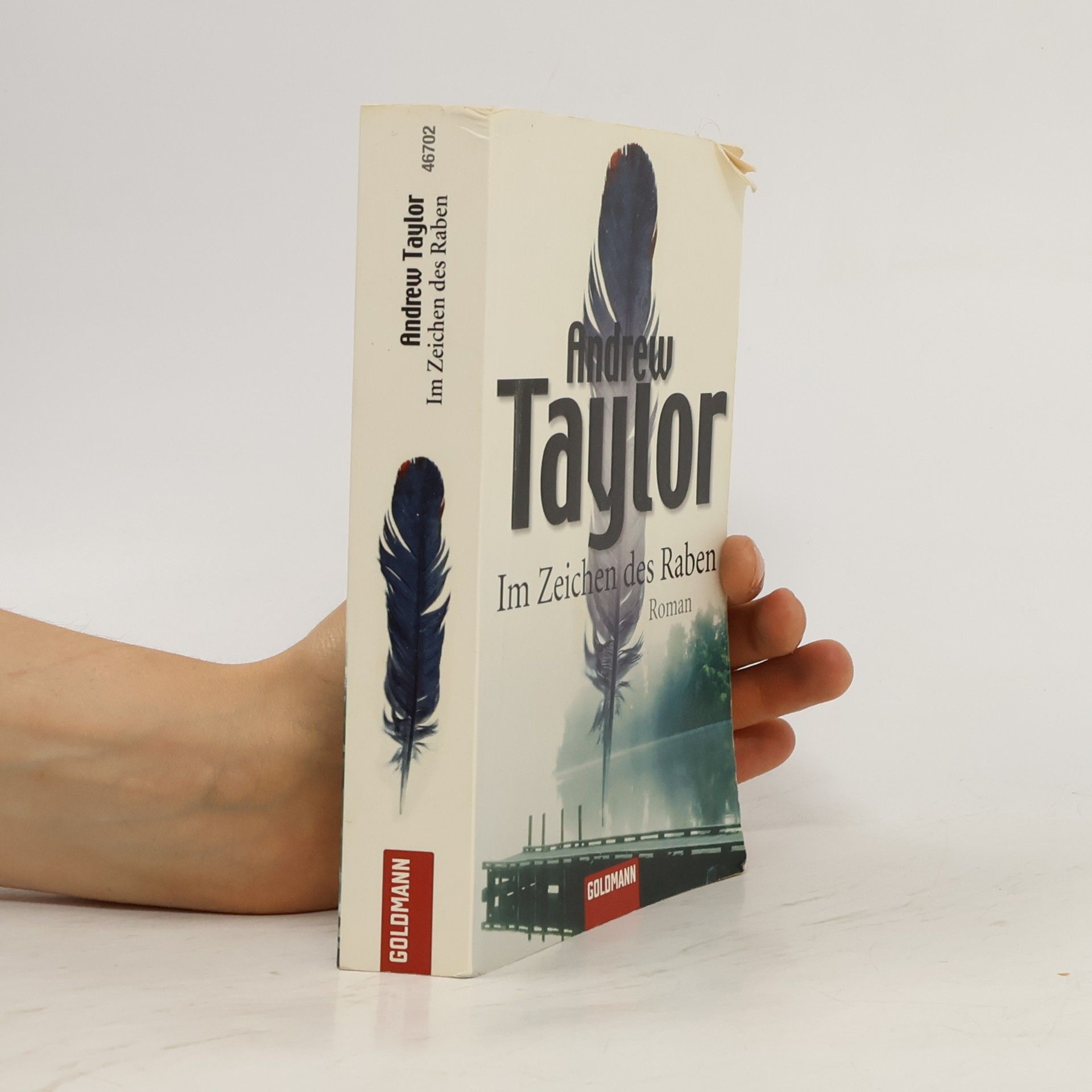 John Robert Taylor Im Zeichen des Raben