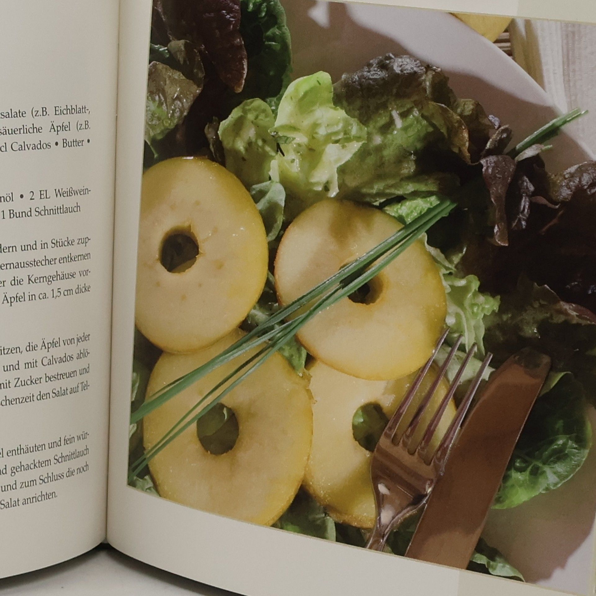 Yara Hackstein Dumonts kleines Lexikon der Salate