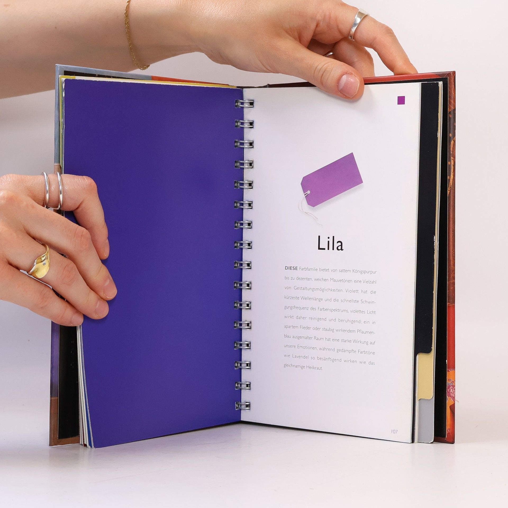 Alice Westgate Colour Guide. Wohnen mit Farben