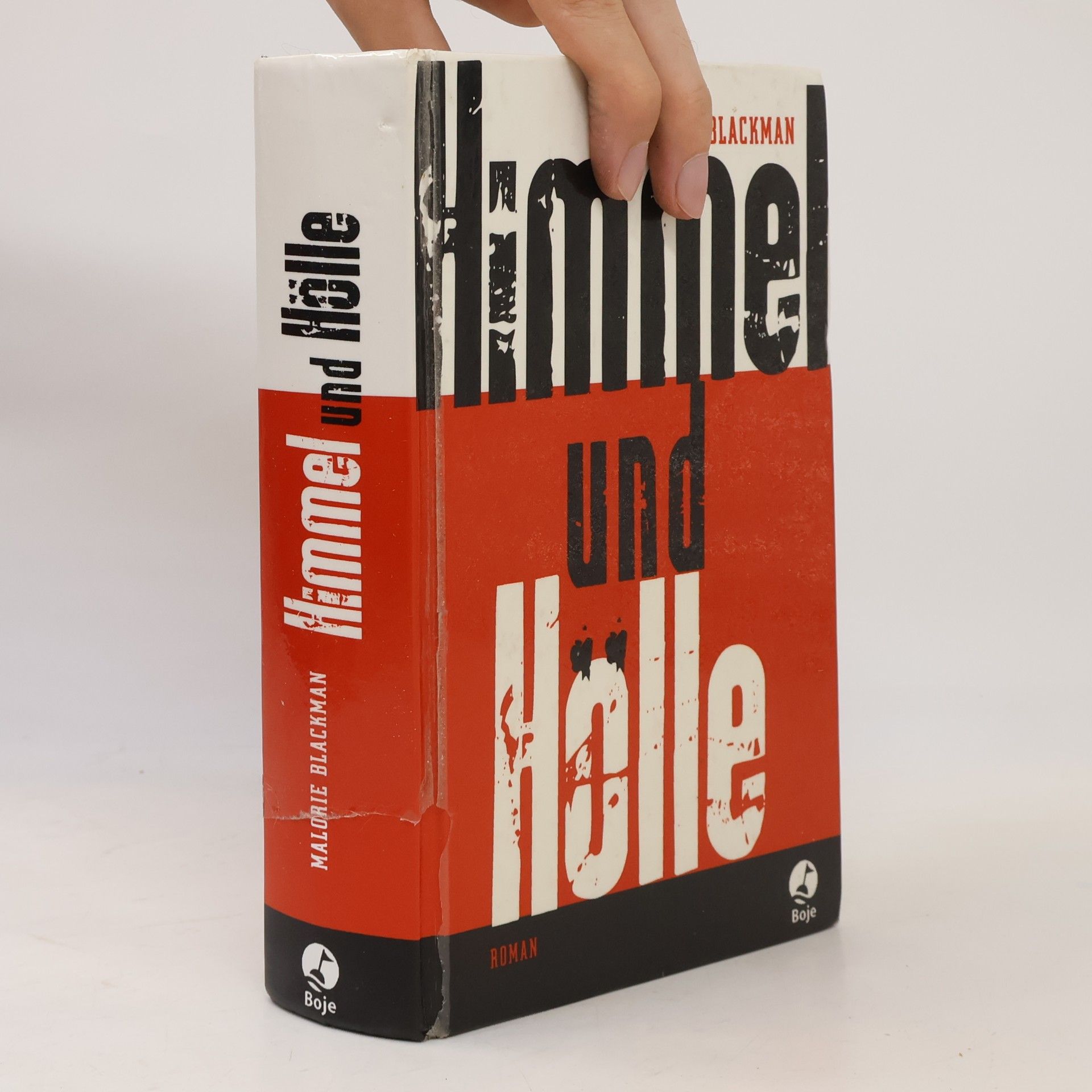 Malorie Blackman Himmel und Hölle
