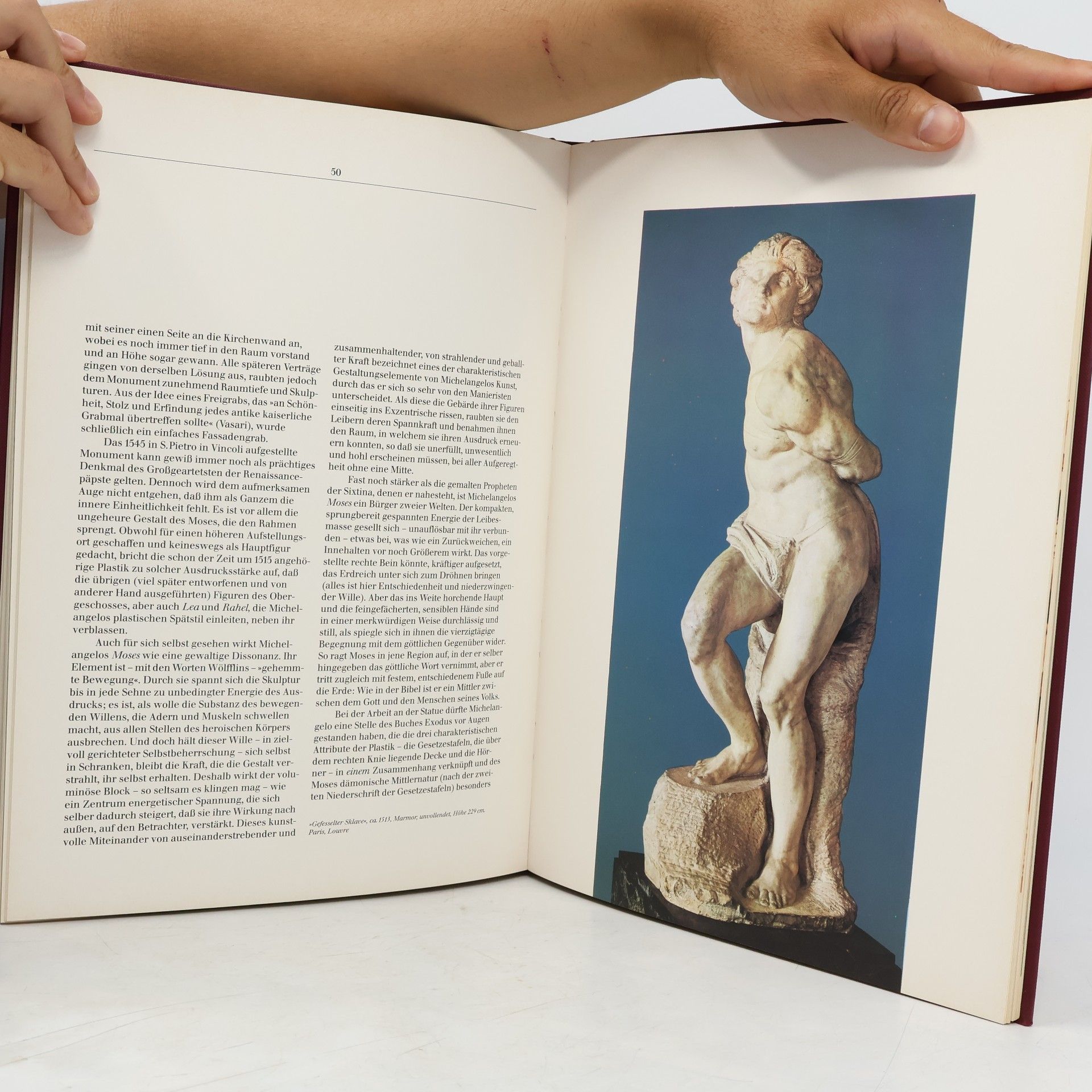 Various authors Michelangelo