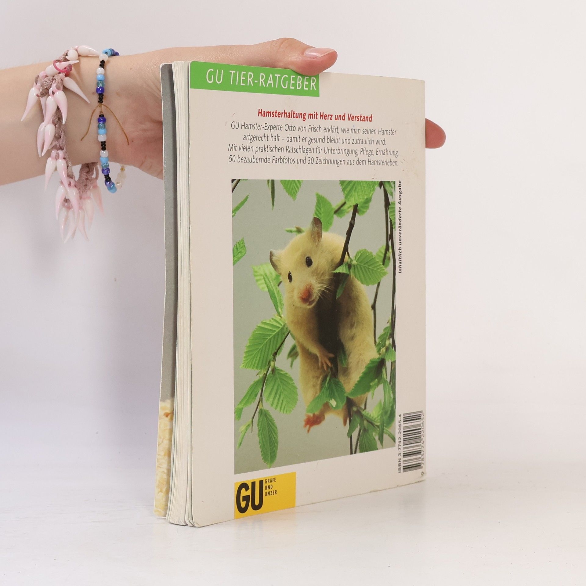 Otto von Frisch Hamster richtig pflegen und verstehen