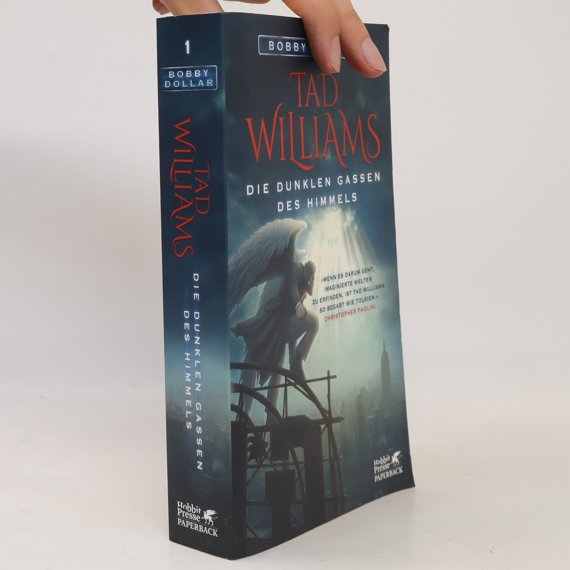 Tad Williams Die dunklen Gassen des Himmels