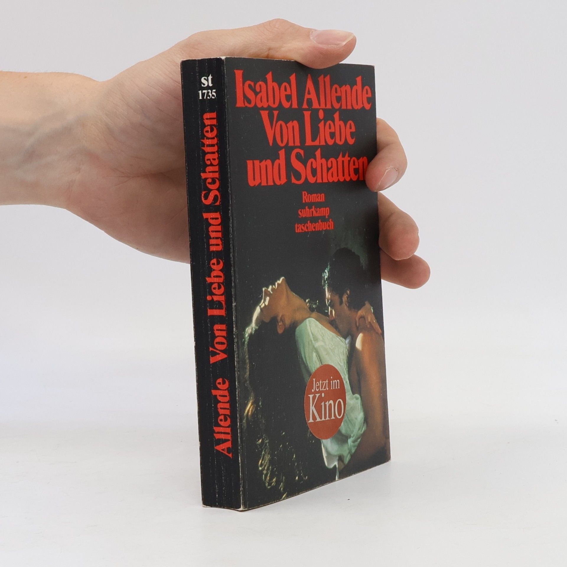Isabel Allende Llona Von Liebe und Schatten