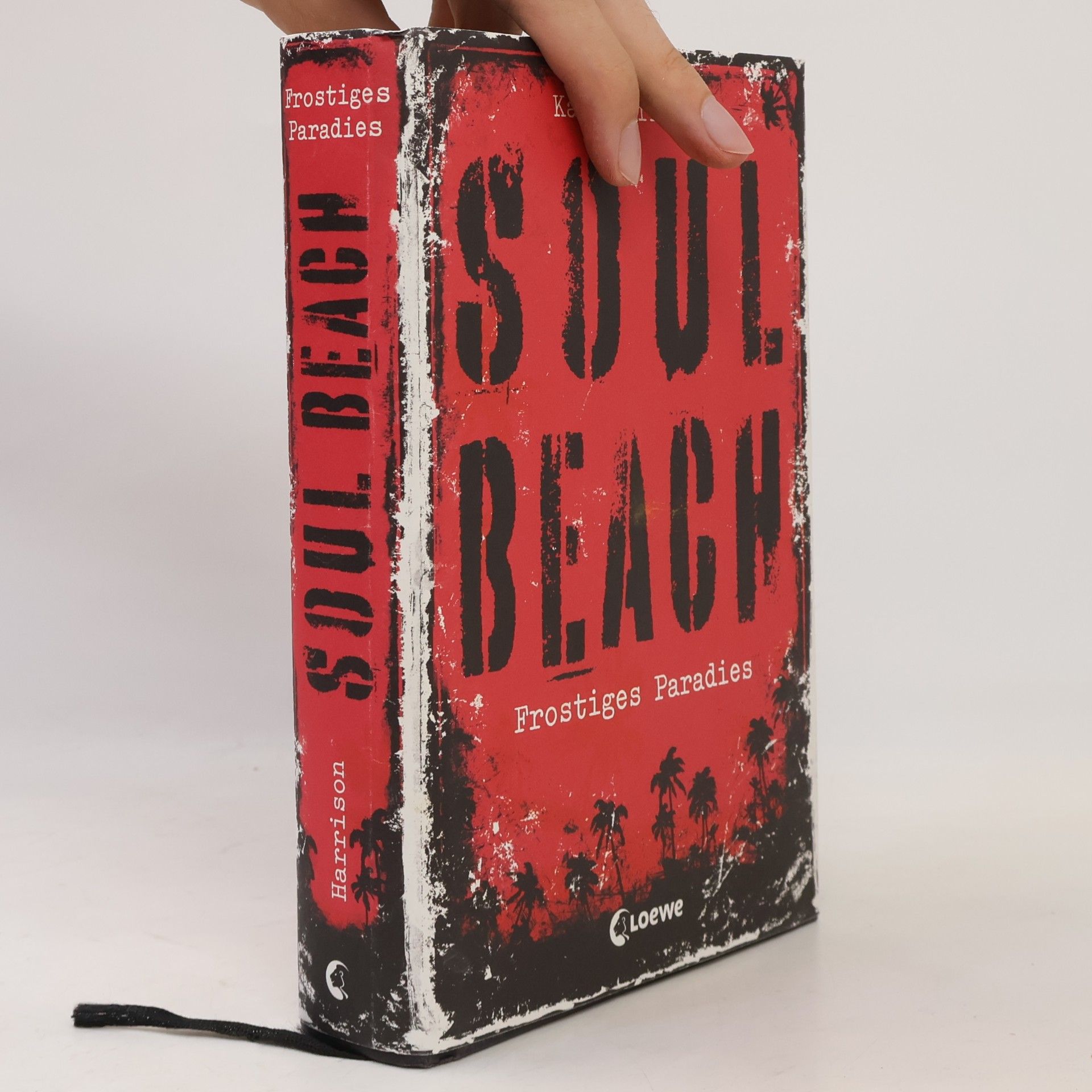 Kate Harrison Soul Beach. Frostiges Paradies