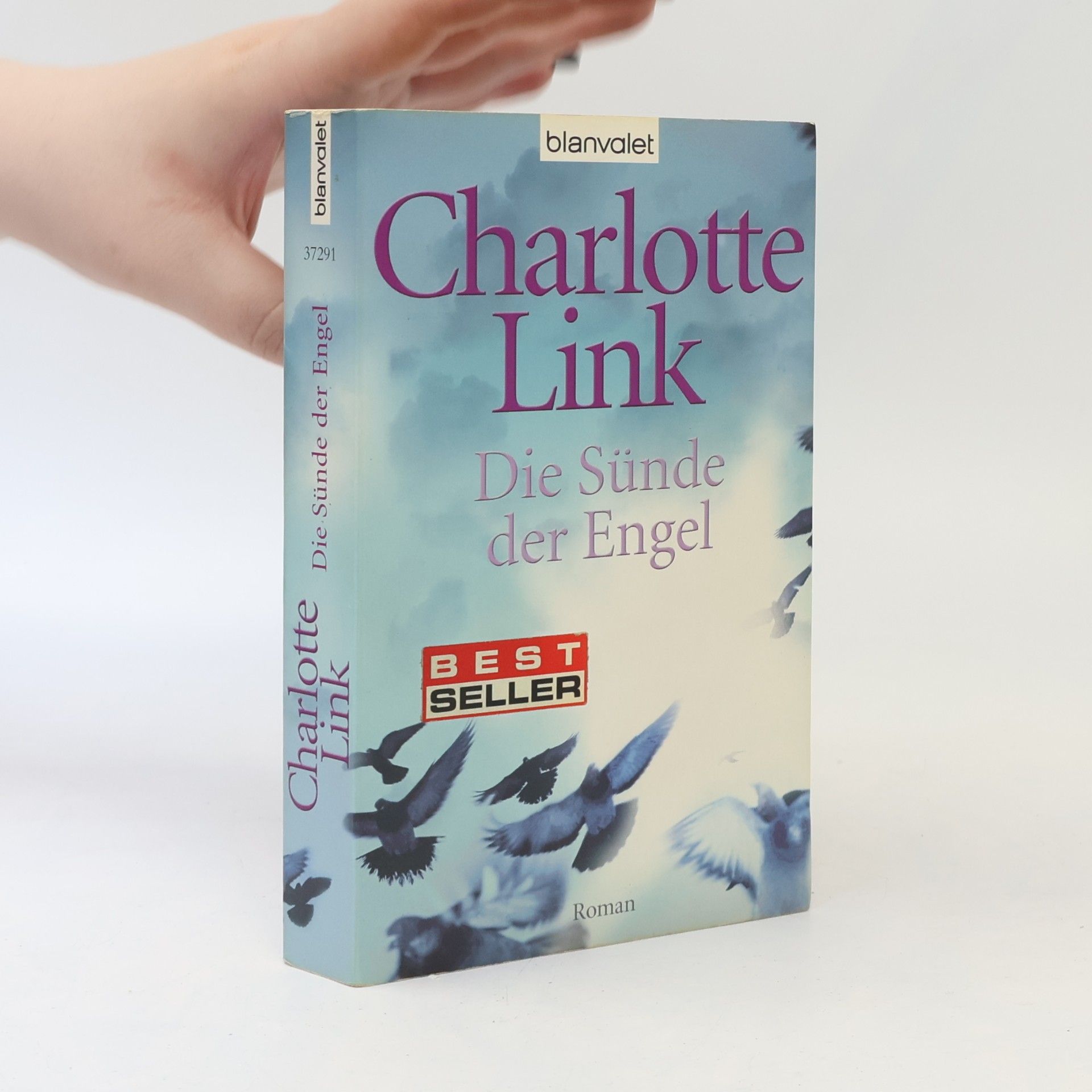 Charlotte Link Die Sünde der Engel