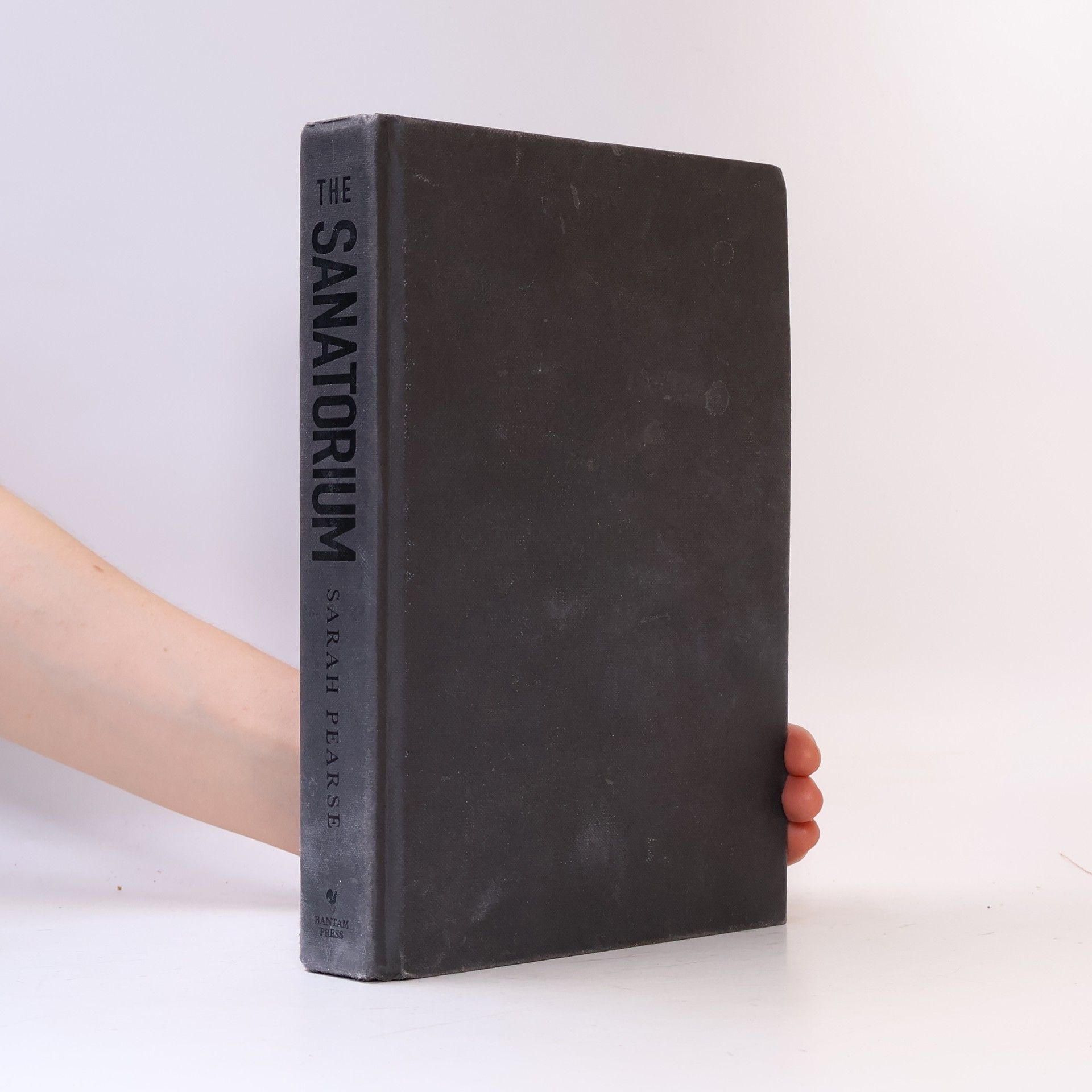Sarah Pearse The Sanatorium