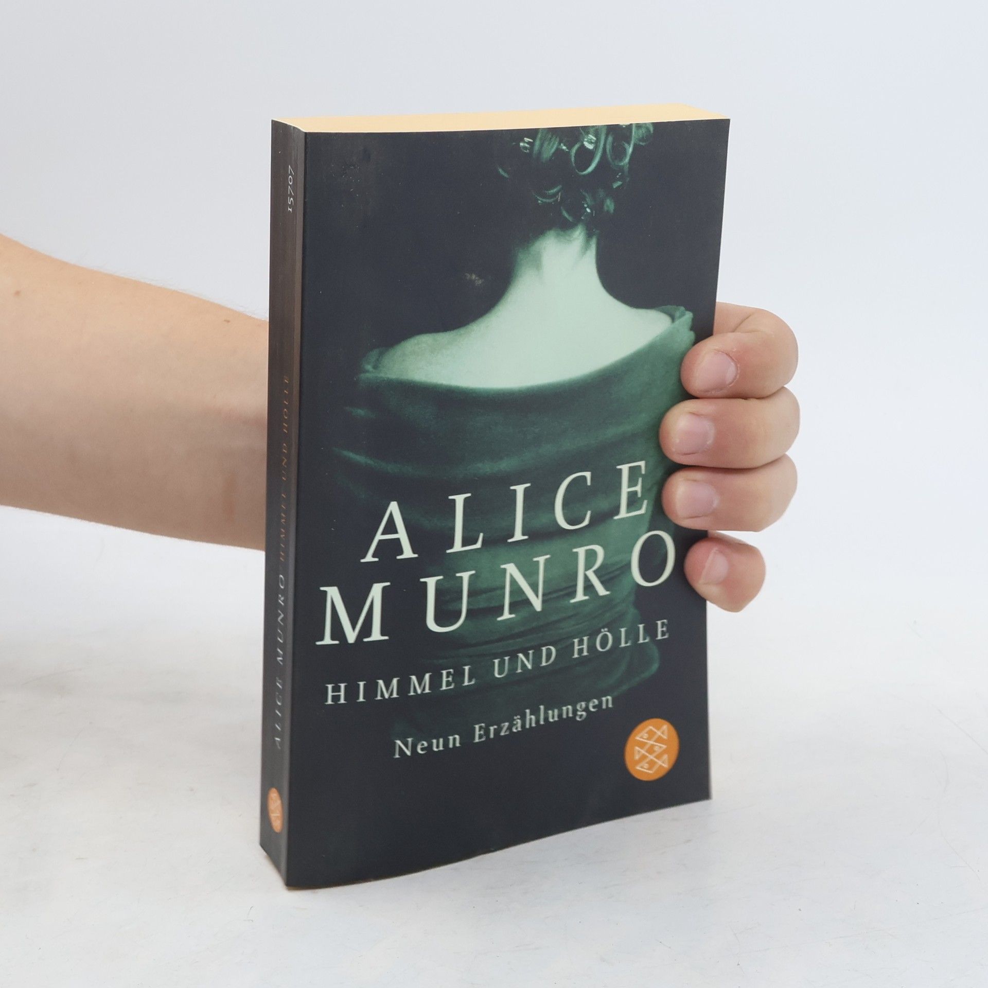 Alice Munro Himmel und Hölle