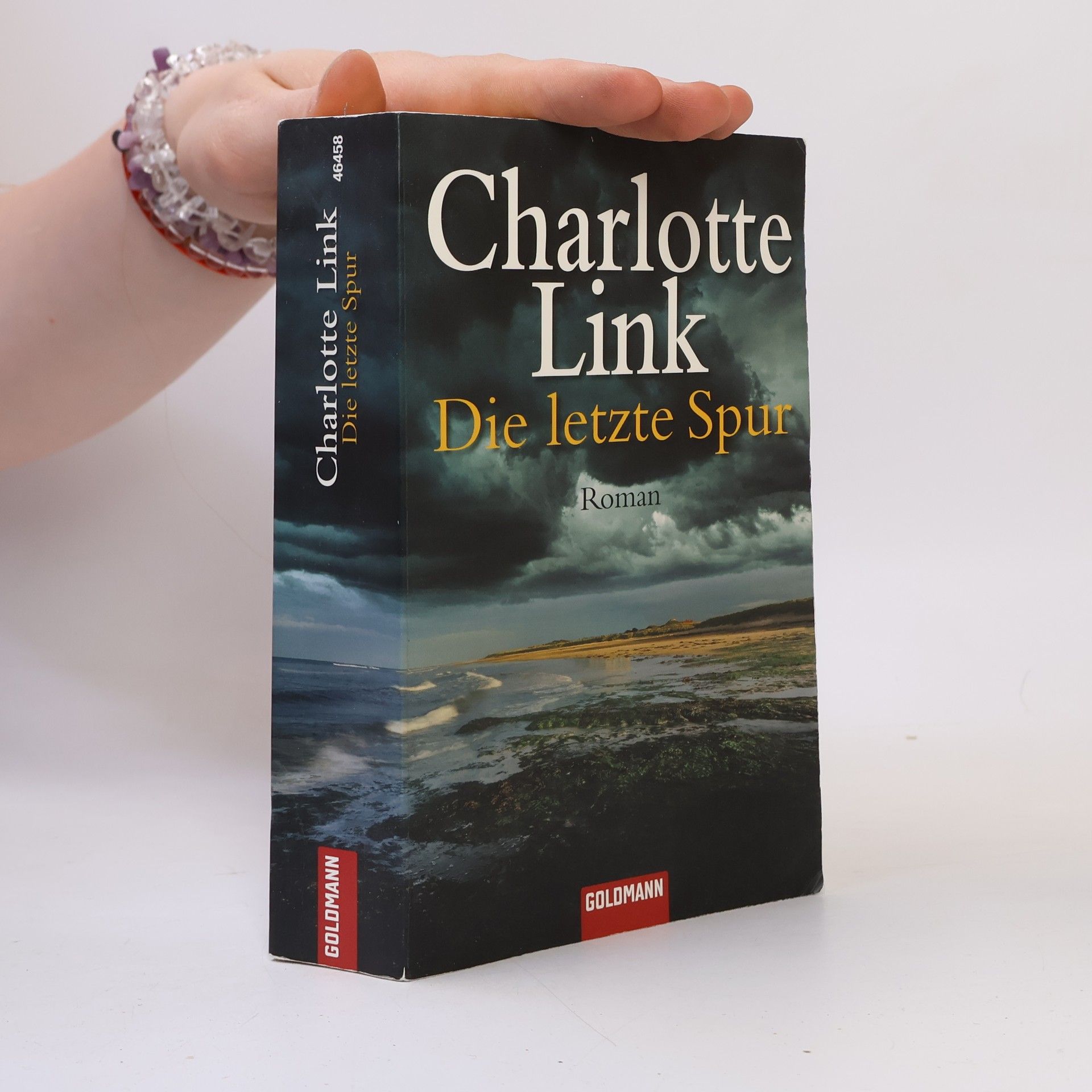 Charlotte Link Die letzte Spur