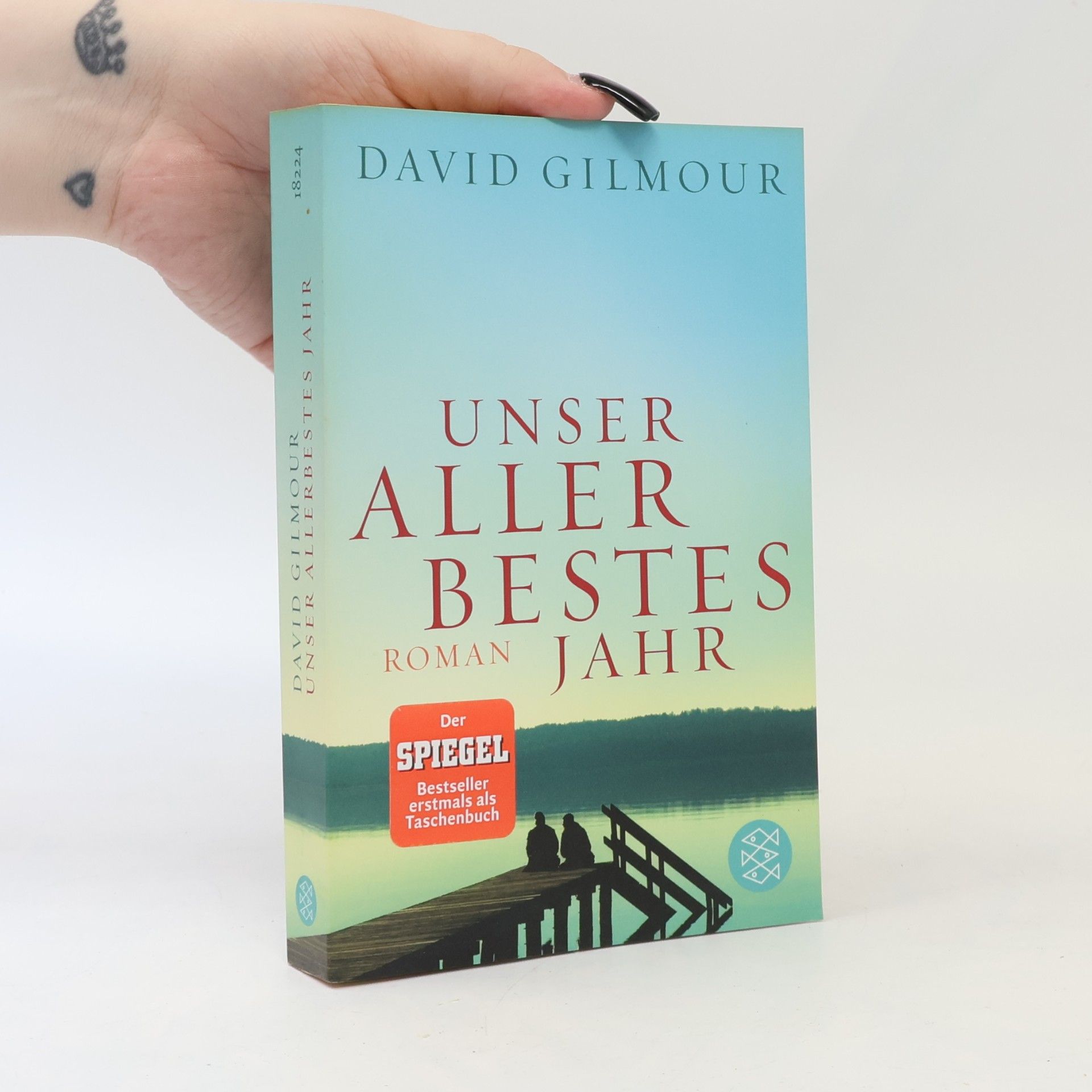 David Gilmour Unser allerbestes Jahr